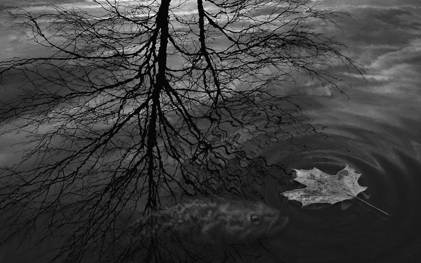1440x900 Autumn. Tree Reflexion In A Pool, Autumn, Black And White, Drawed