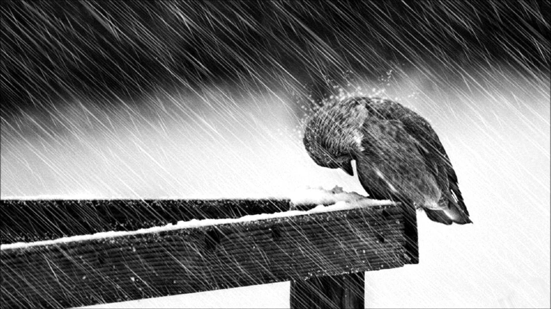 1920x1080 Sad wallpaper For Desktop Wallpaper In HD 4K Quality