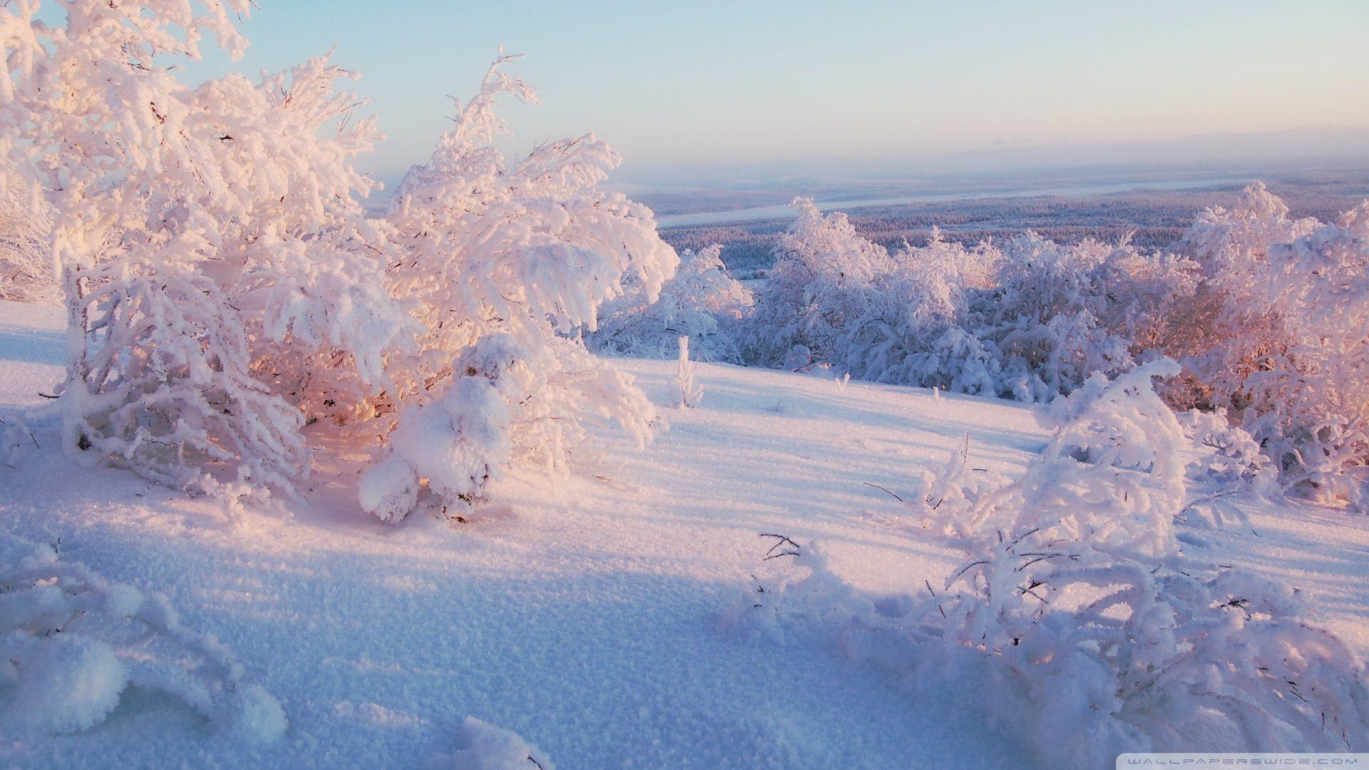 1920x1080 Morning Winter Light ❤ Hình nền máy tính để bàn HD 4K cho TV Ultra HD 4K https://wallpaperaccess.com/full/978282.jpg