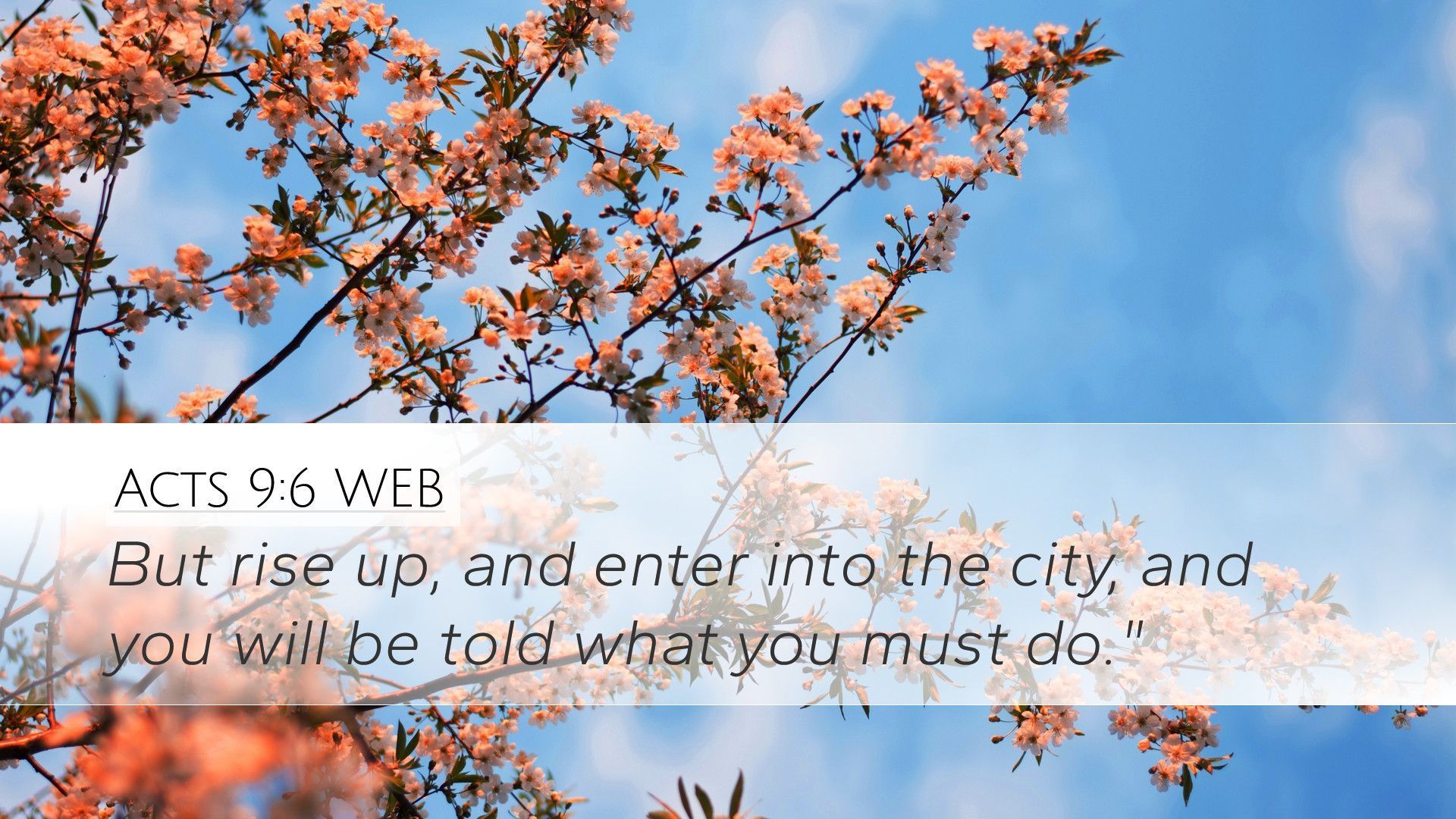 1920x1080 Acts 9:6 WEB Desktop Wallpaper rise up, and enter into the city