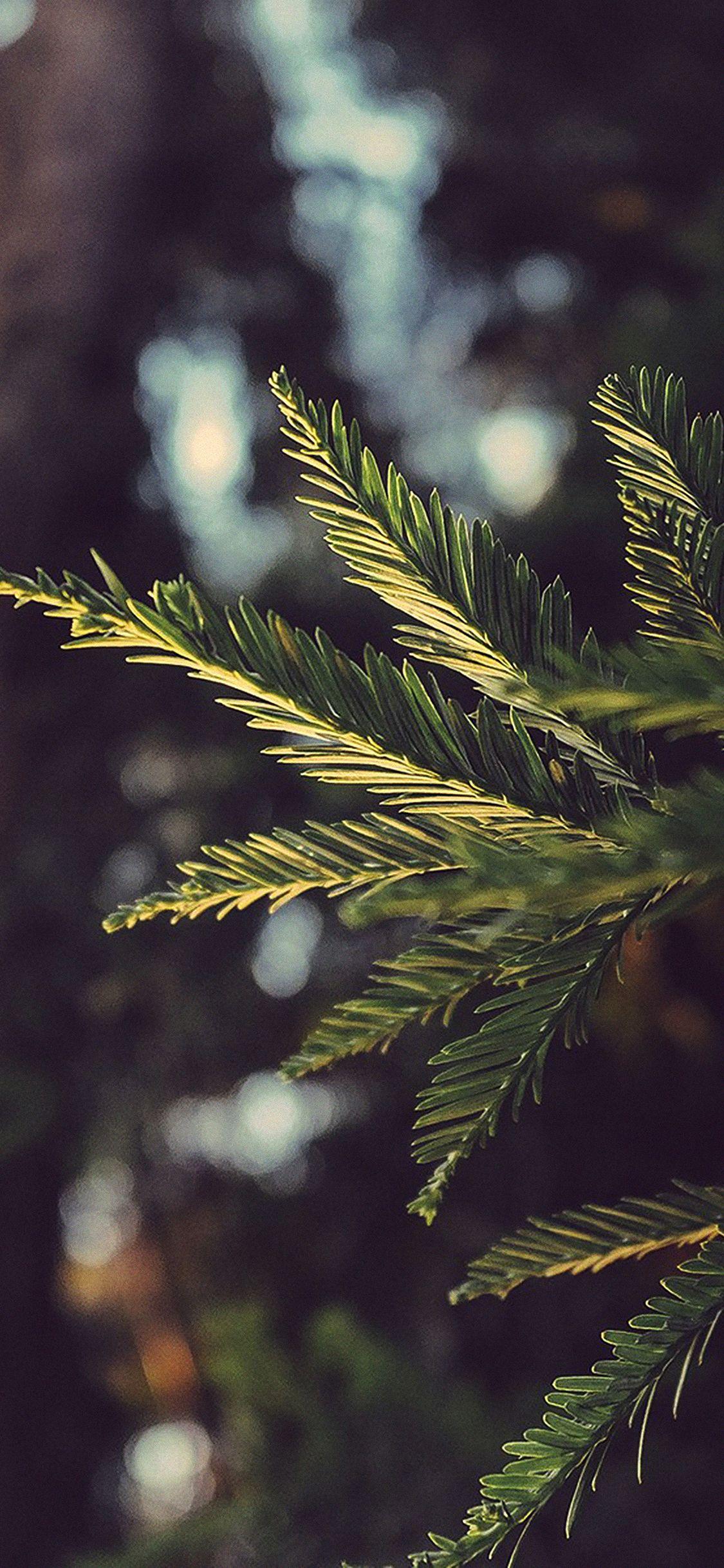 1125x2436 iPhoneXpapers winter light bokeh life mountain nature