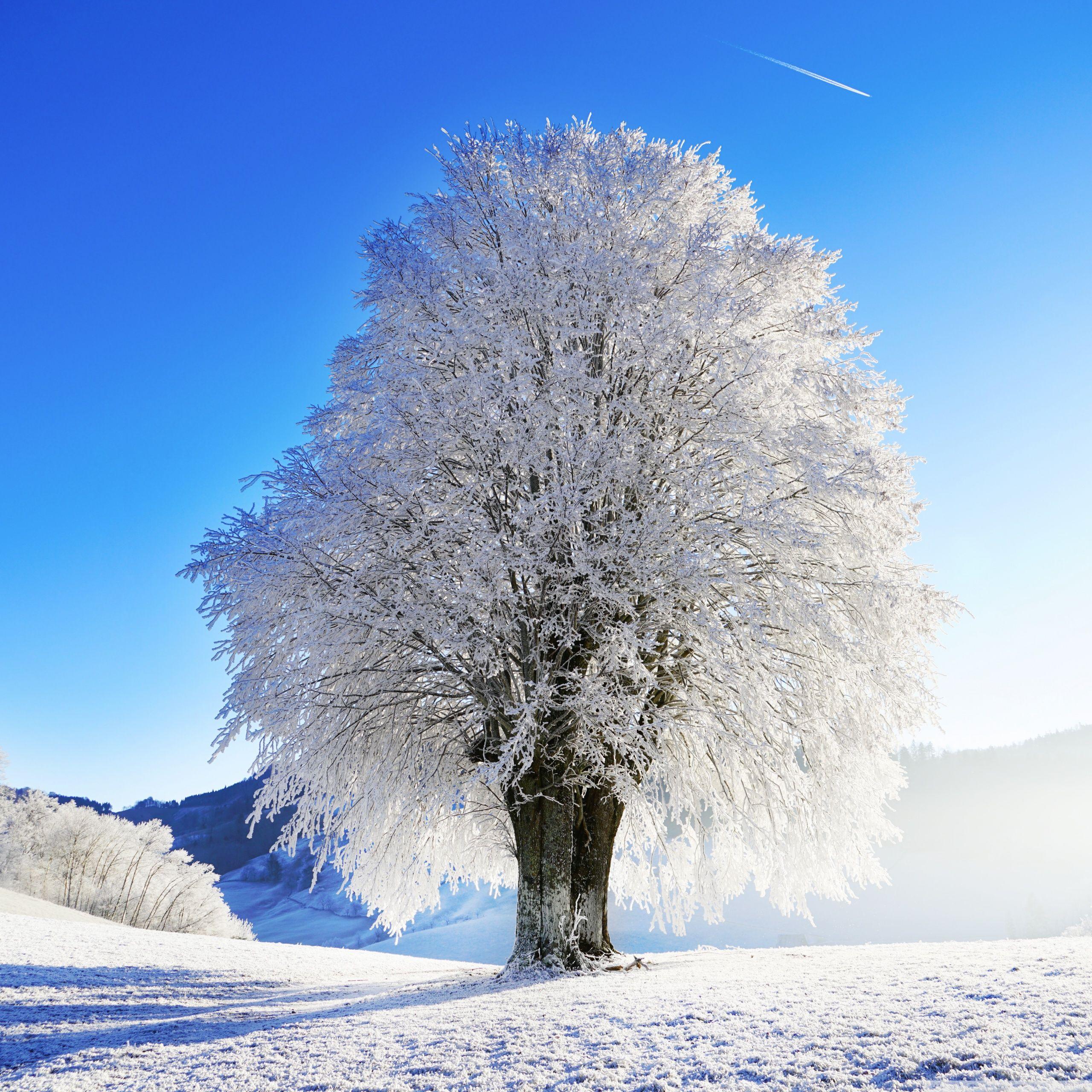 European Winter Wallpapers - Top Free European Winter Backgrounds ...