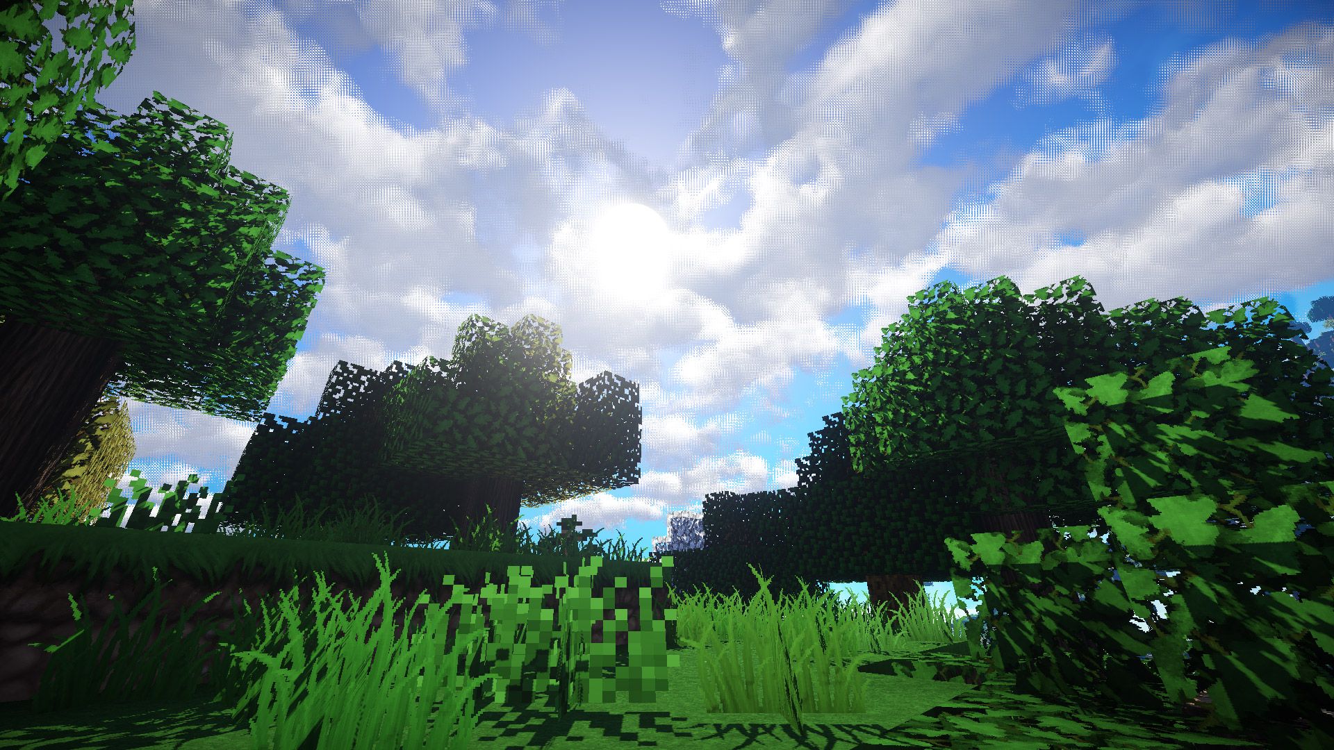 1920x1080 Minecraft Forest Wallpaper