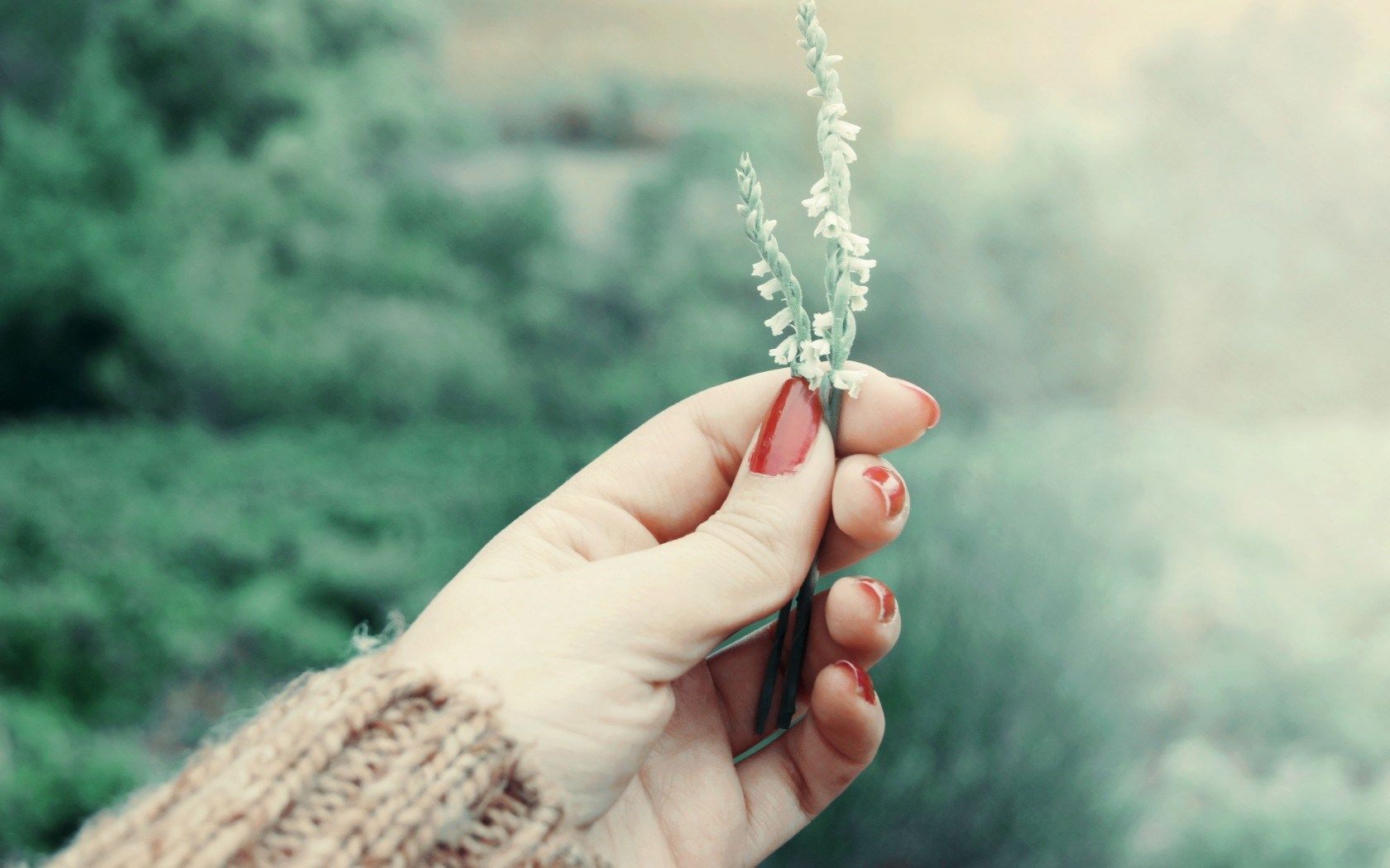 1680x1050 Girl Hand Flowers Mood
