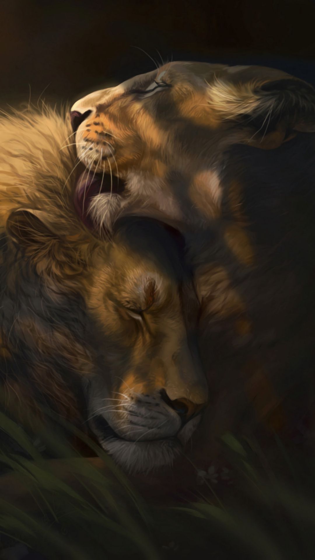 1080x1920 Download wallpaper 1080x1920 lion, lioness, love, cute samsung galaxy s s note, sony xperia z, z z z htc one, lenovo vibe HD background