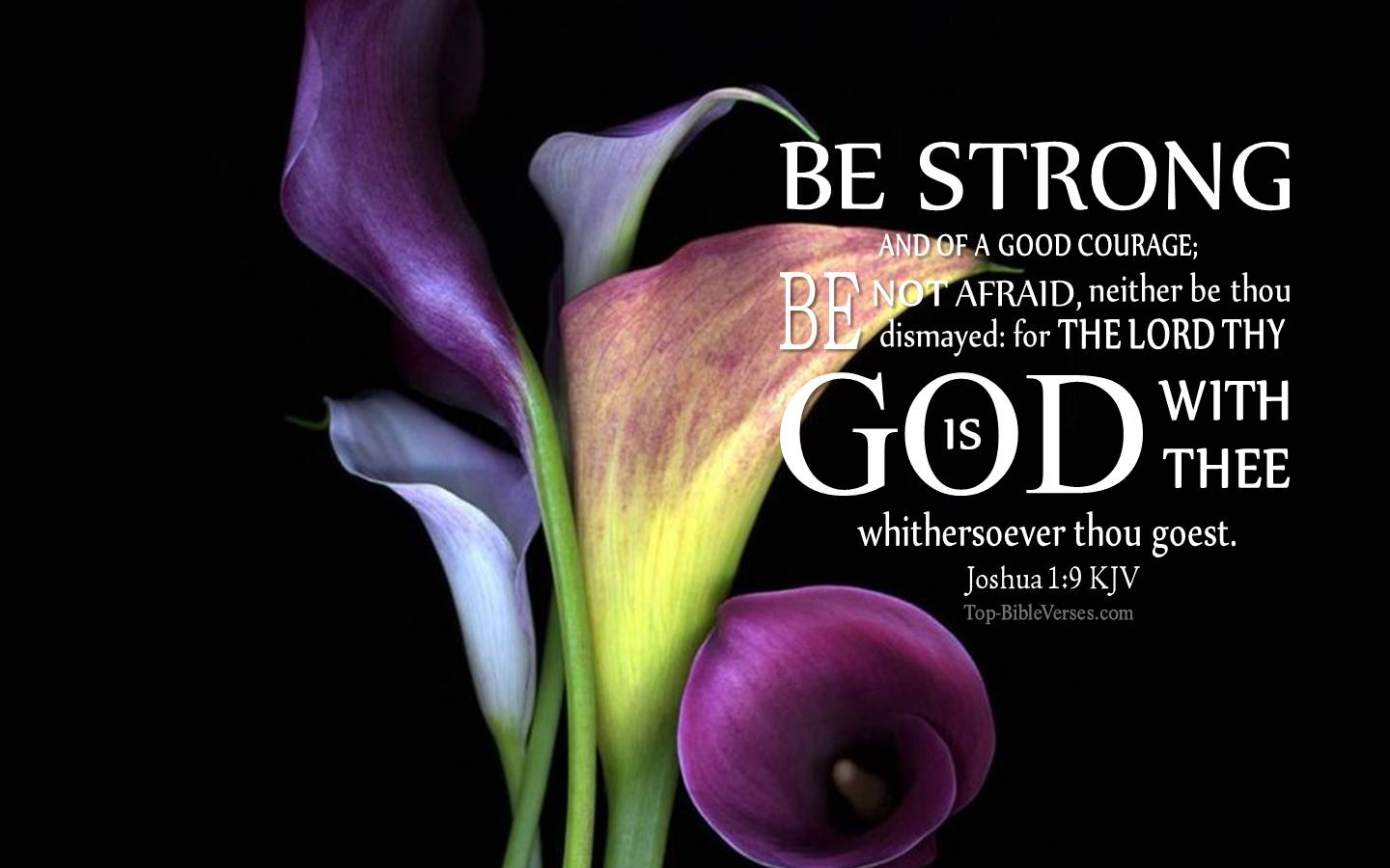 1440x900 Joshua 1:9 KJV Desktop Wallpaper. Bible Verse Wallpaper