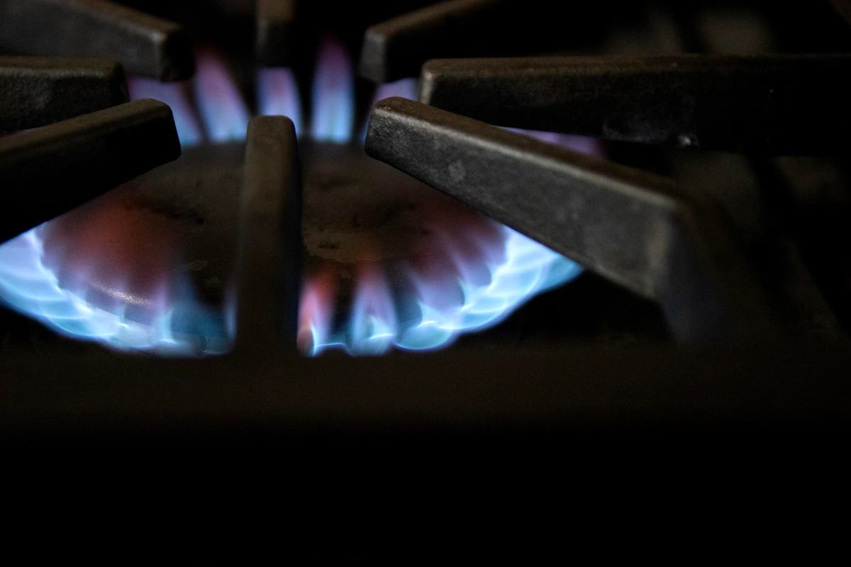 1200x800 Yes, Chefs, The Government Is Coming For Your Gas Stoves