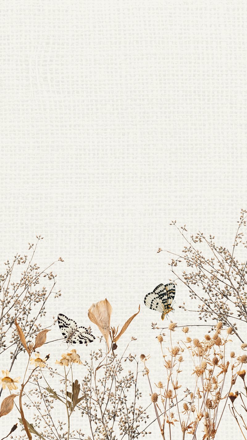 800x1422 Aesthetic Wallpaper iPhone Wallpaper
