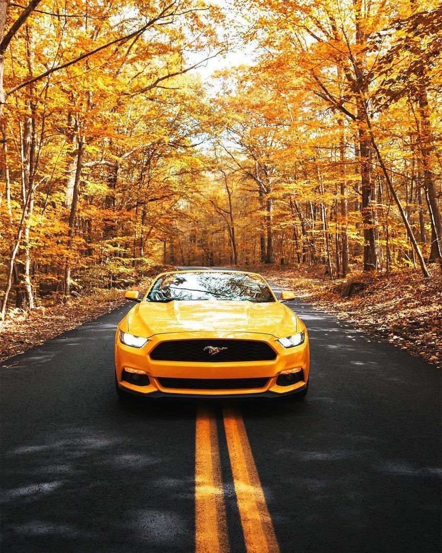 864x1080 Yellow. Yellow mustang, Mustang wallpaper, Super cars