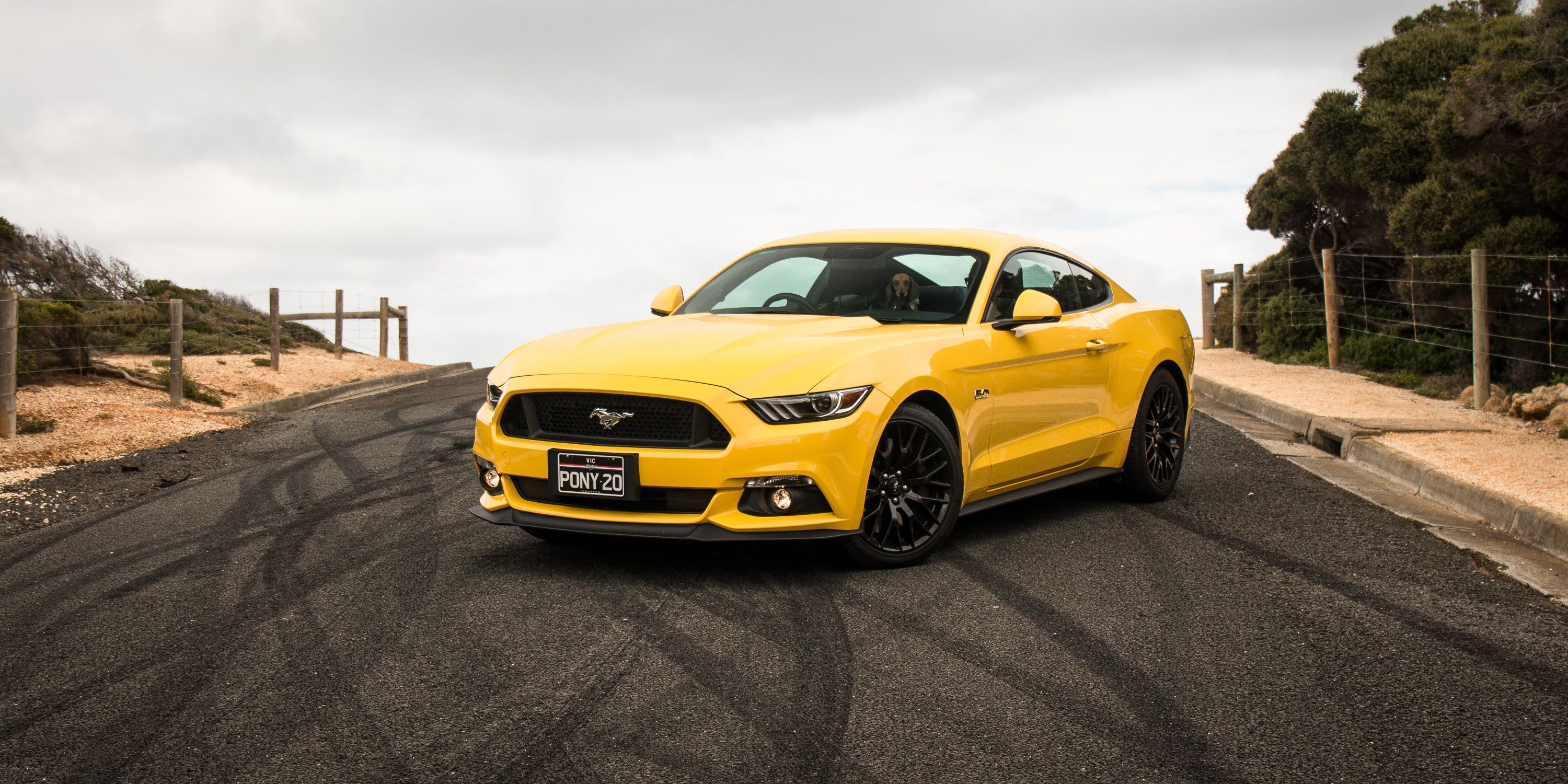 Yellow Mustang Wallpapers - Top Free Yellow Mustang Backgrounds