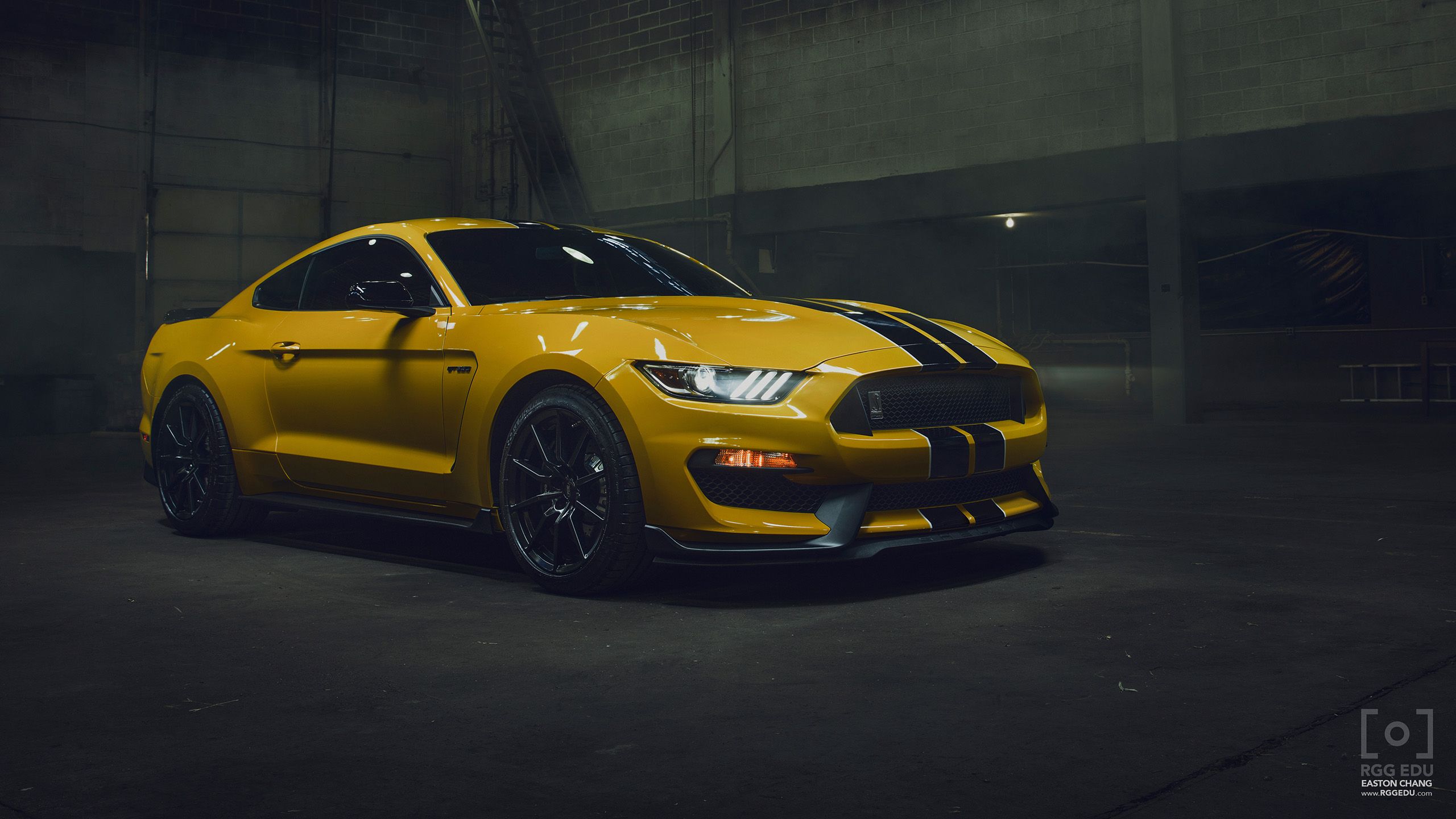 2560x1440 Yellow Mustang Wallpaper