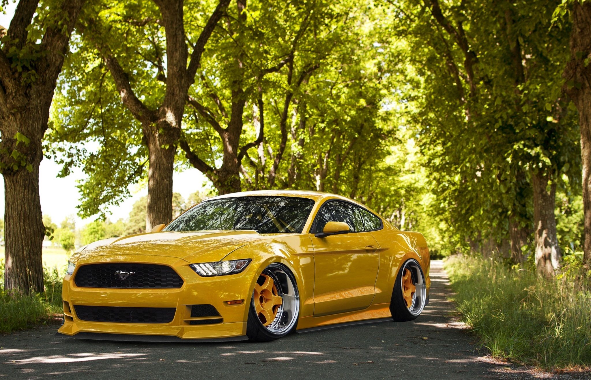 Yellow Mustang Wallpapers - Top Free Yellow Mustang Backgrounds