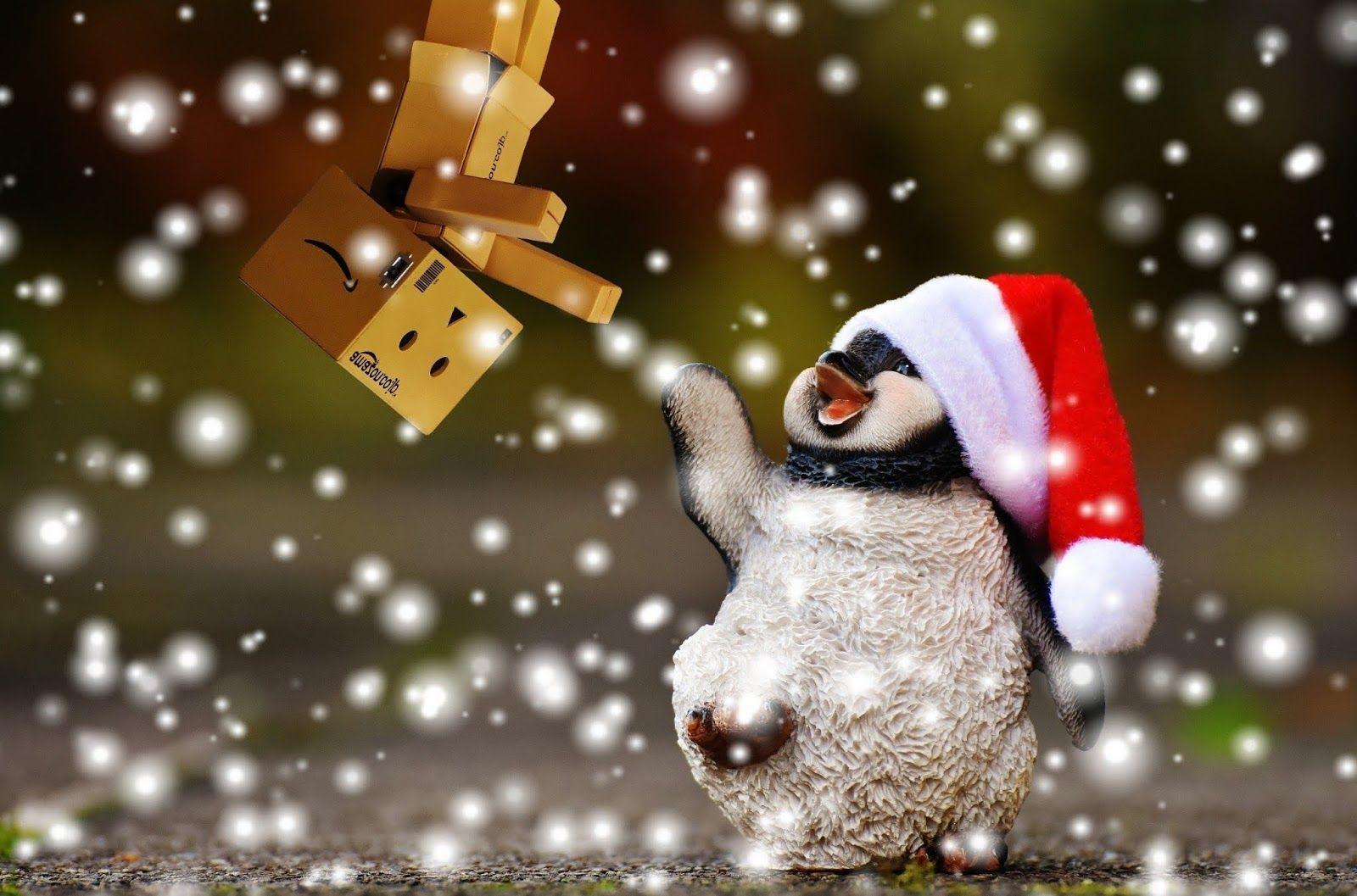 1600x1057 Cute Winter Animal Wallpaper