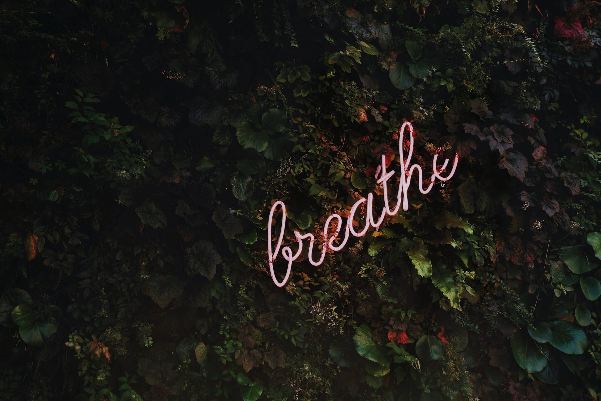 1920x1280 Mental Health Wallpaper