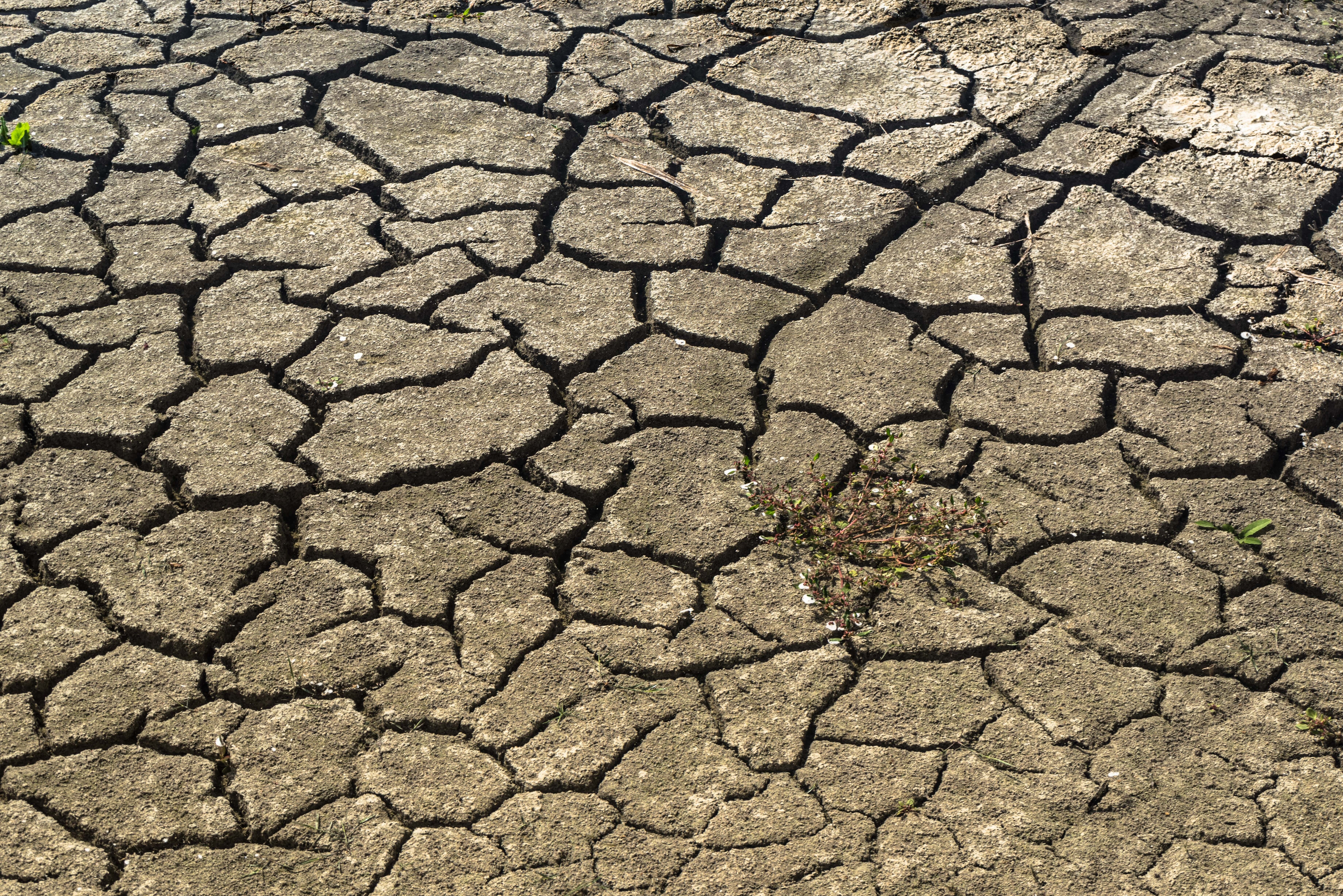 7360x4912 Wallpaper / Textured, Day, Full Frame, Drought, Brown, Environment, Footprints, Heat, Broken, Land, Earth, Nature, Abstract, Natural Disaster, Close Up Free Download