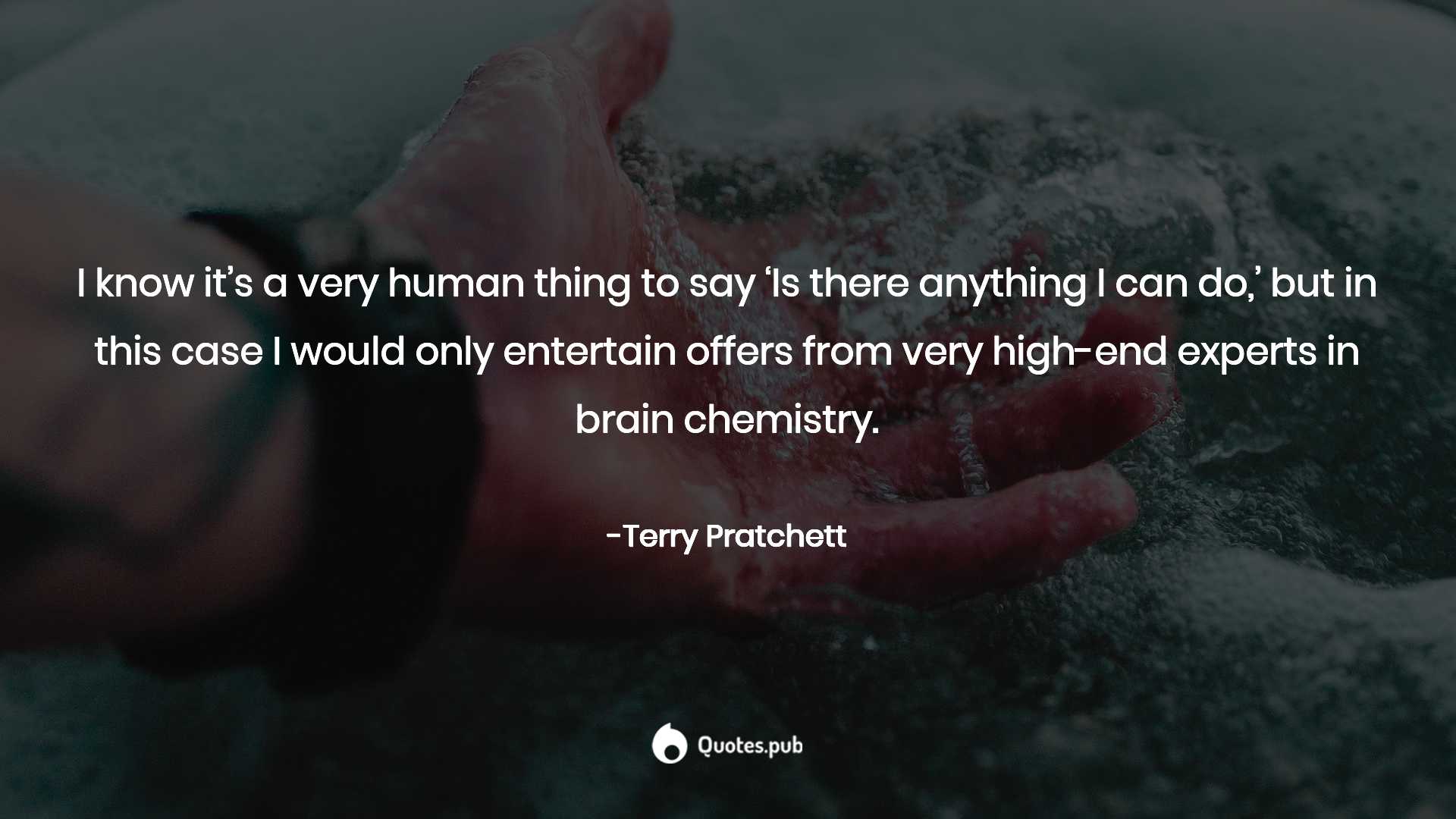 1920x1080 Terry Pratchett Quotes on Diggers, Humor and Death