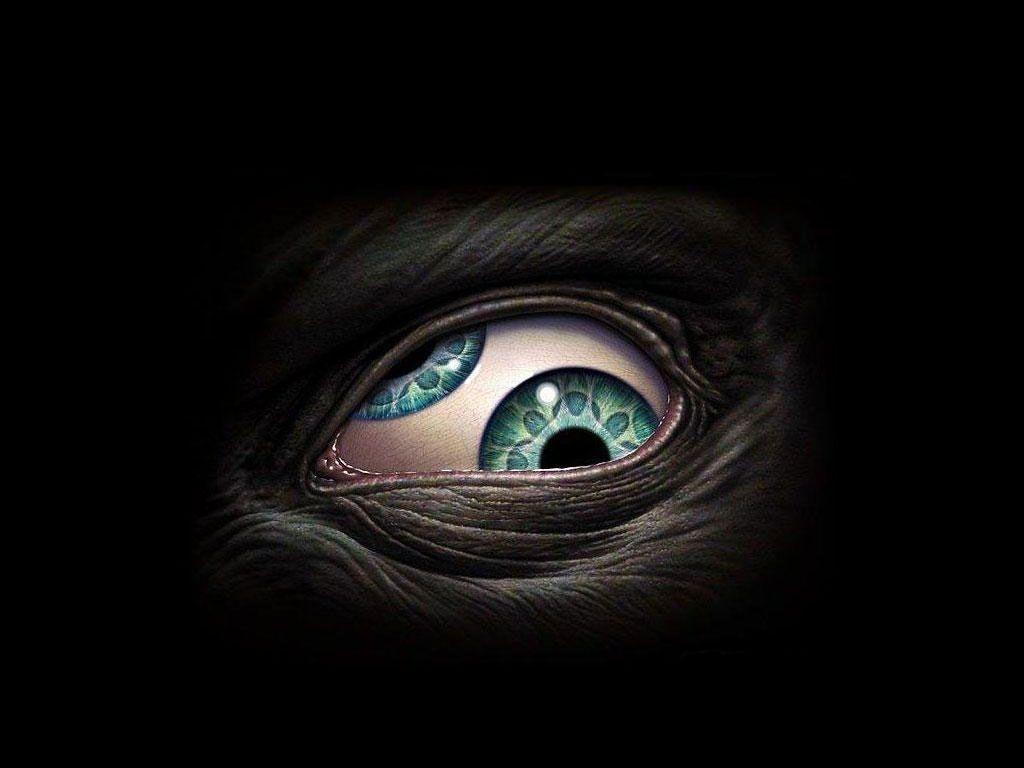 1024x768 The Eyes Have It