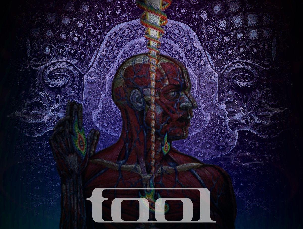1200x908 1200x908px Tool Wallpaper for Desktop