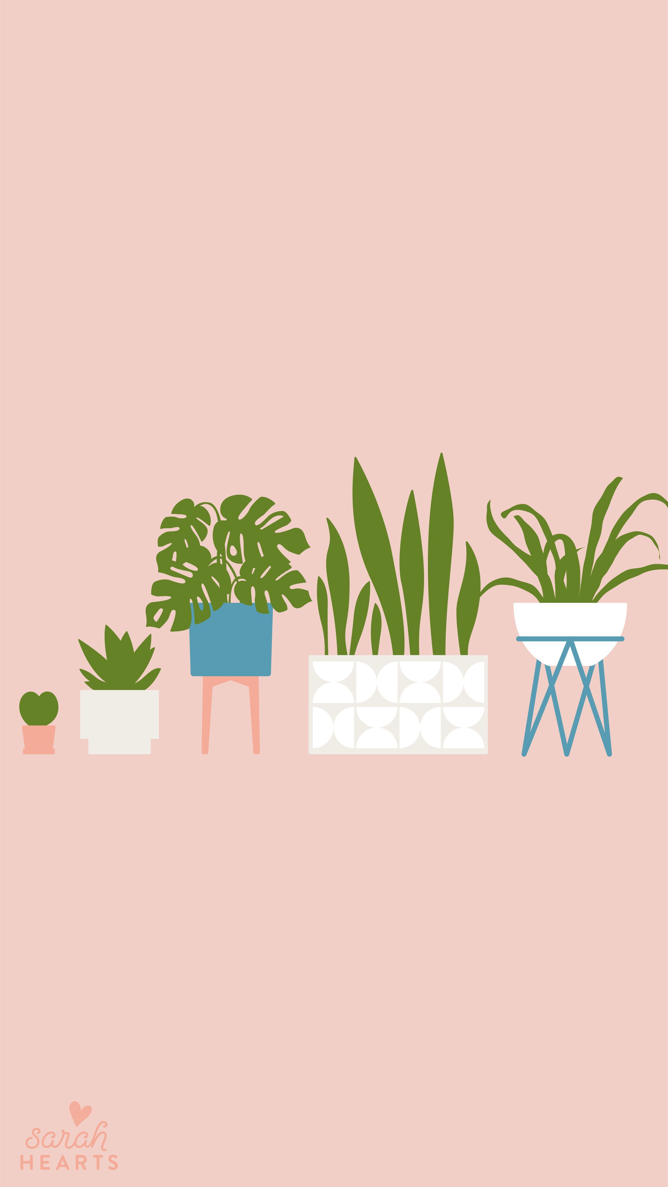 2251x4000 Houseplant August 2019 Calendar Wallpaper