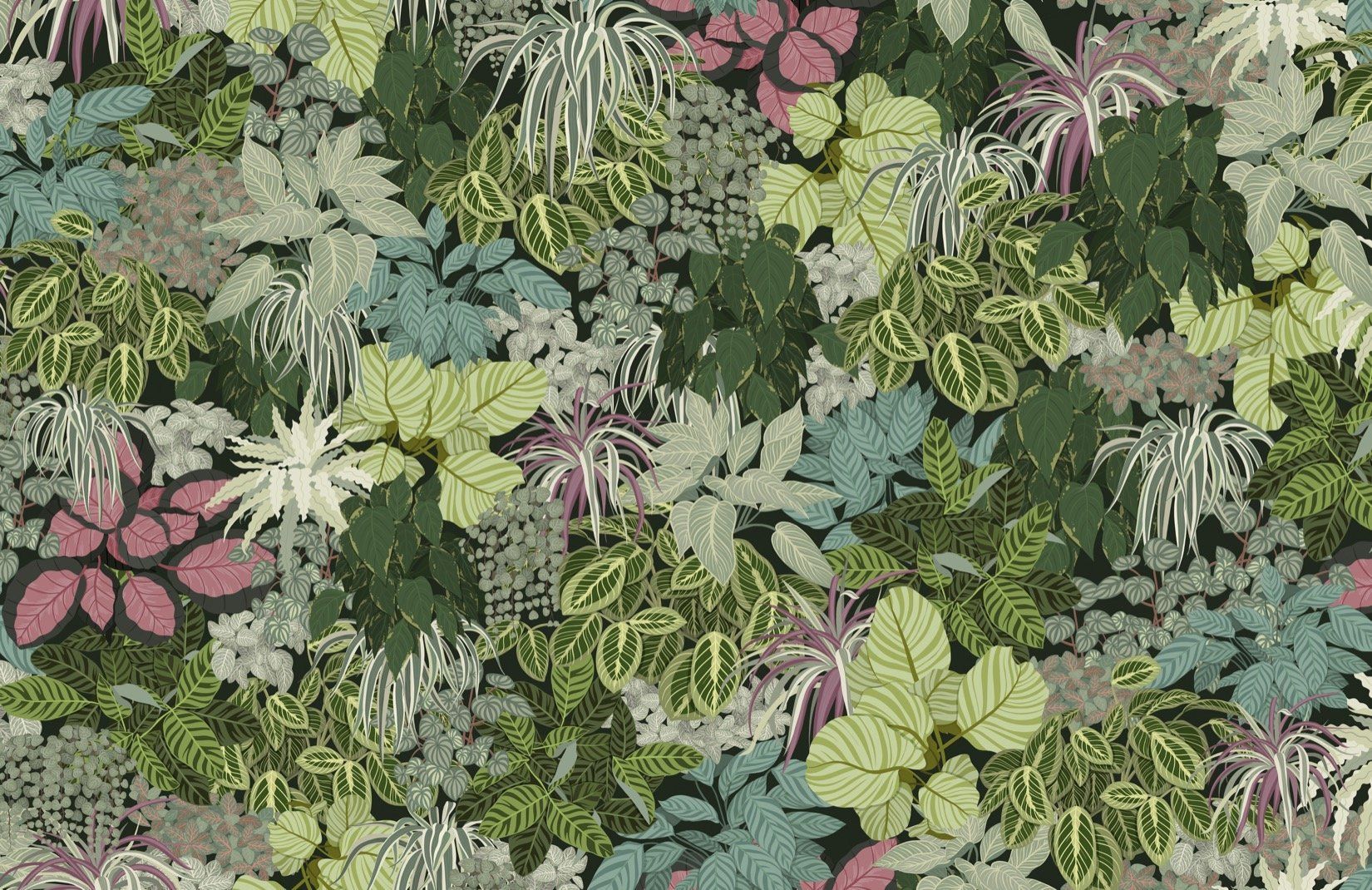 1650x1070 Living Wall Green Plants Wallpaper Mural