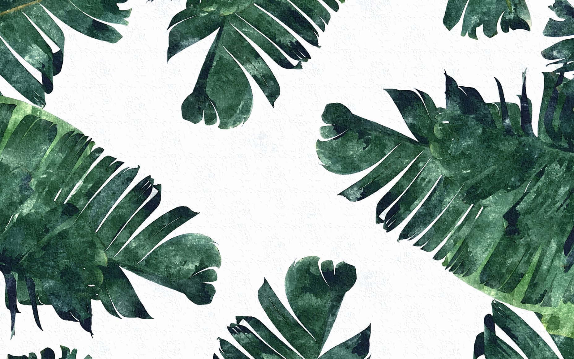 1856x1161 Green Plant Aesthetic Wallpaper