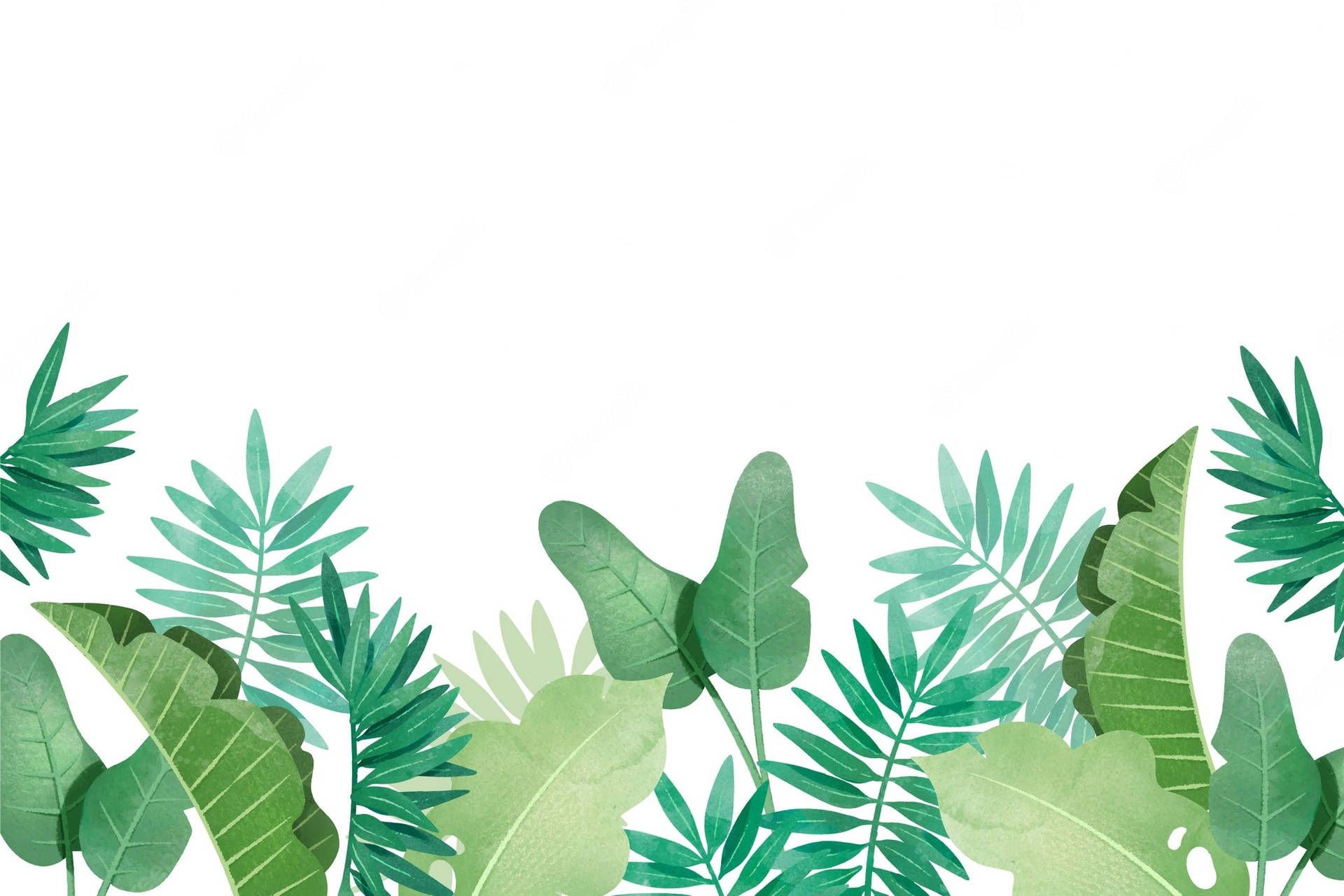 1920x1280 Download Tropical Plants And Leaves Vector Art Wallpaper