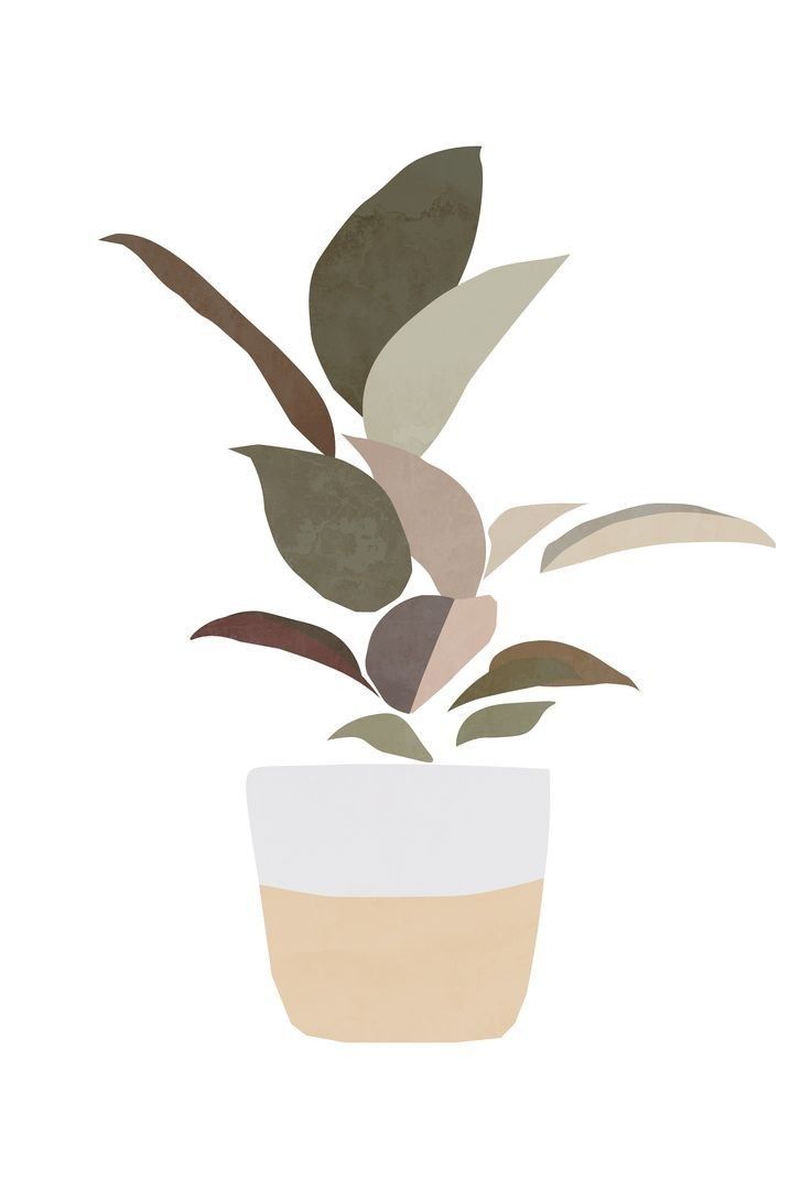 736x1070 prints. Plant art print, Plant art, Minimalist art