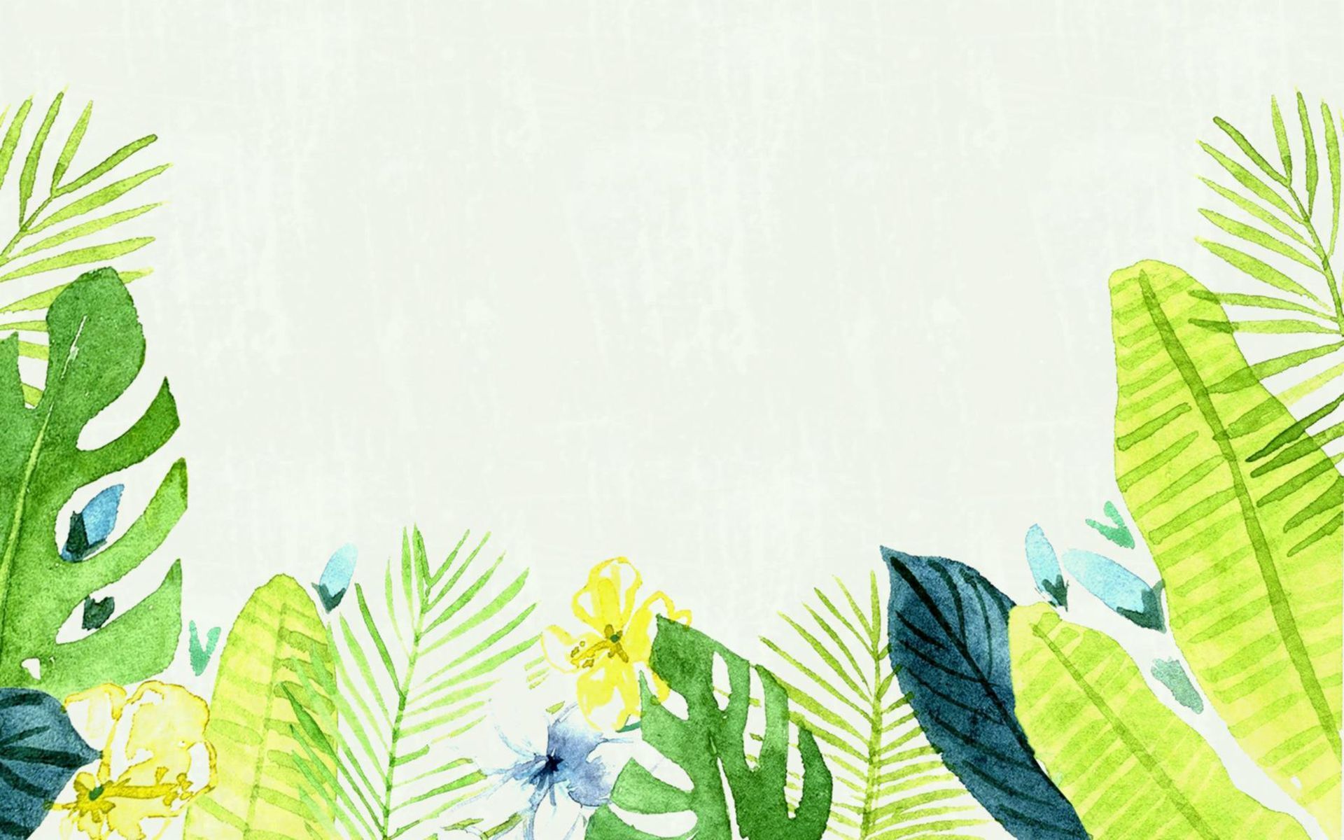 1920x1200 Aesthetic Minimalist Plant Wallpaper Computer