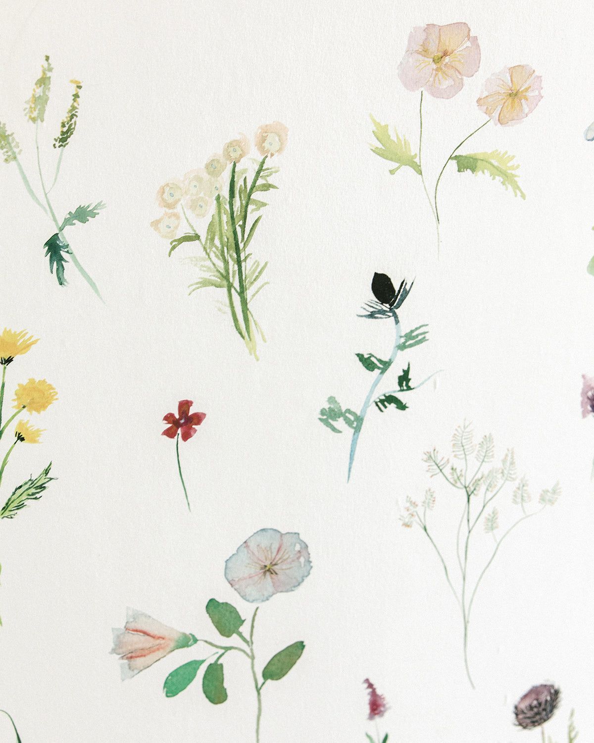 1200x1500 Meadow Wallpaper