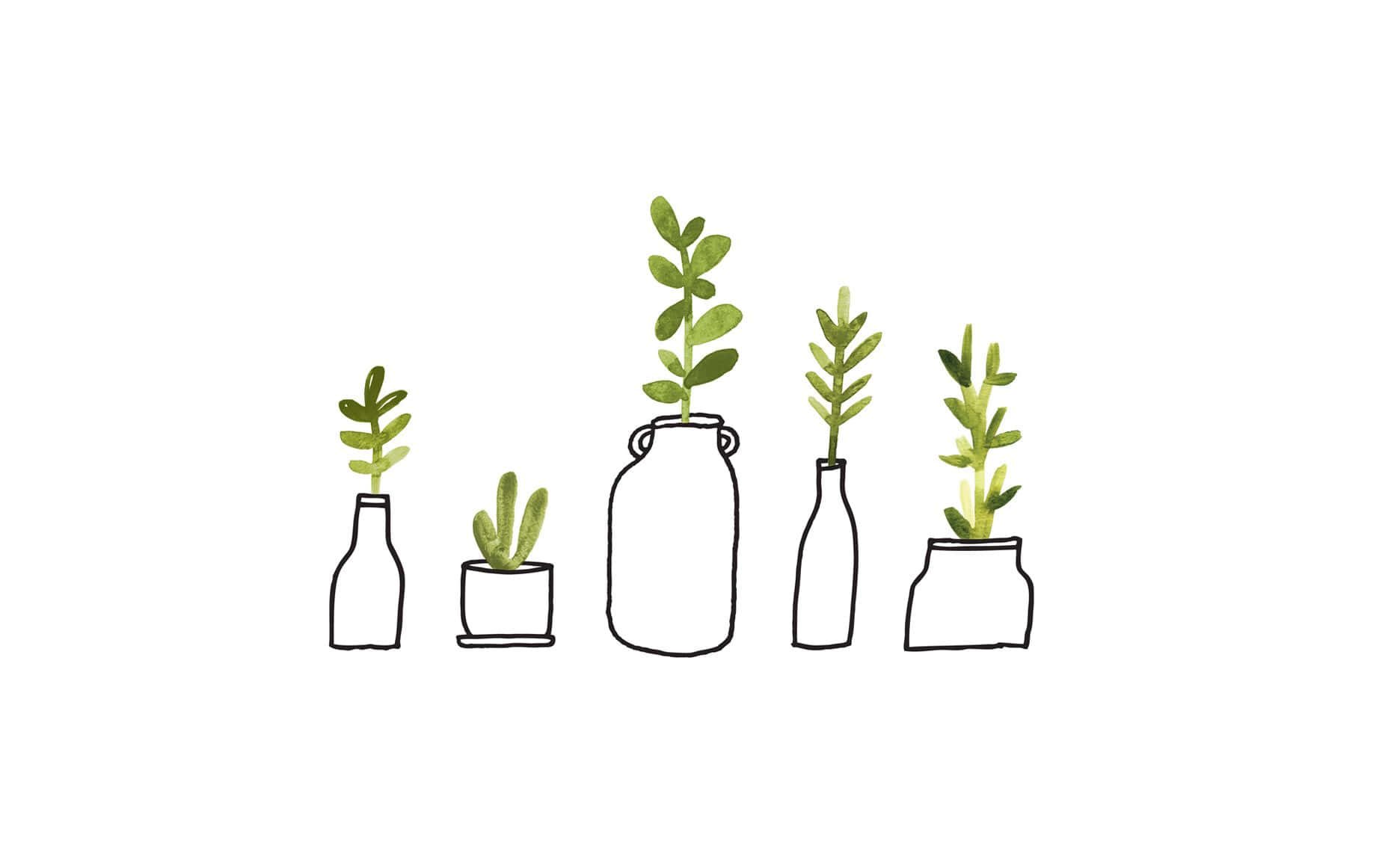 1856x1161 Download Line Art And Watercolor Minimalist Plant Desktop Wallpaper