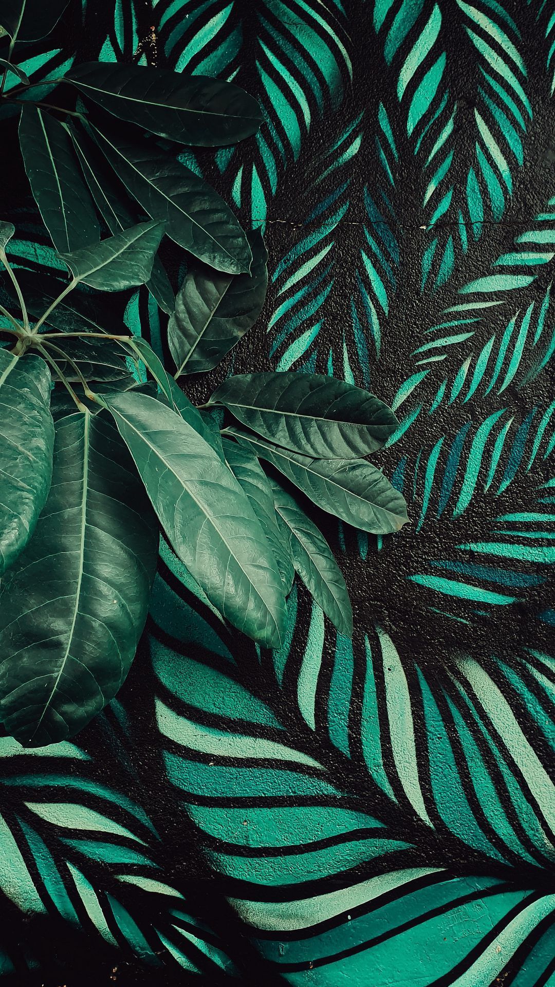 1080x1920 Plant Phone Wallpaper [1080x1920]