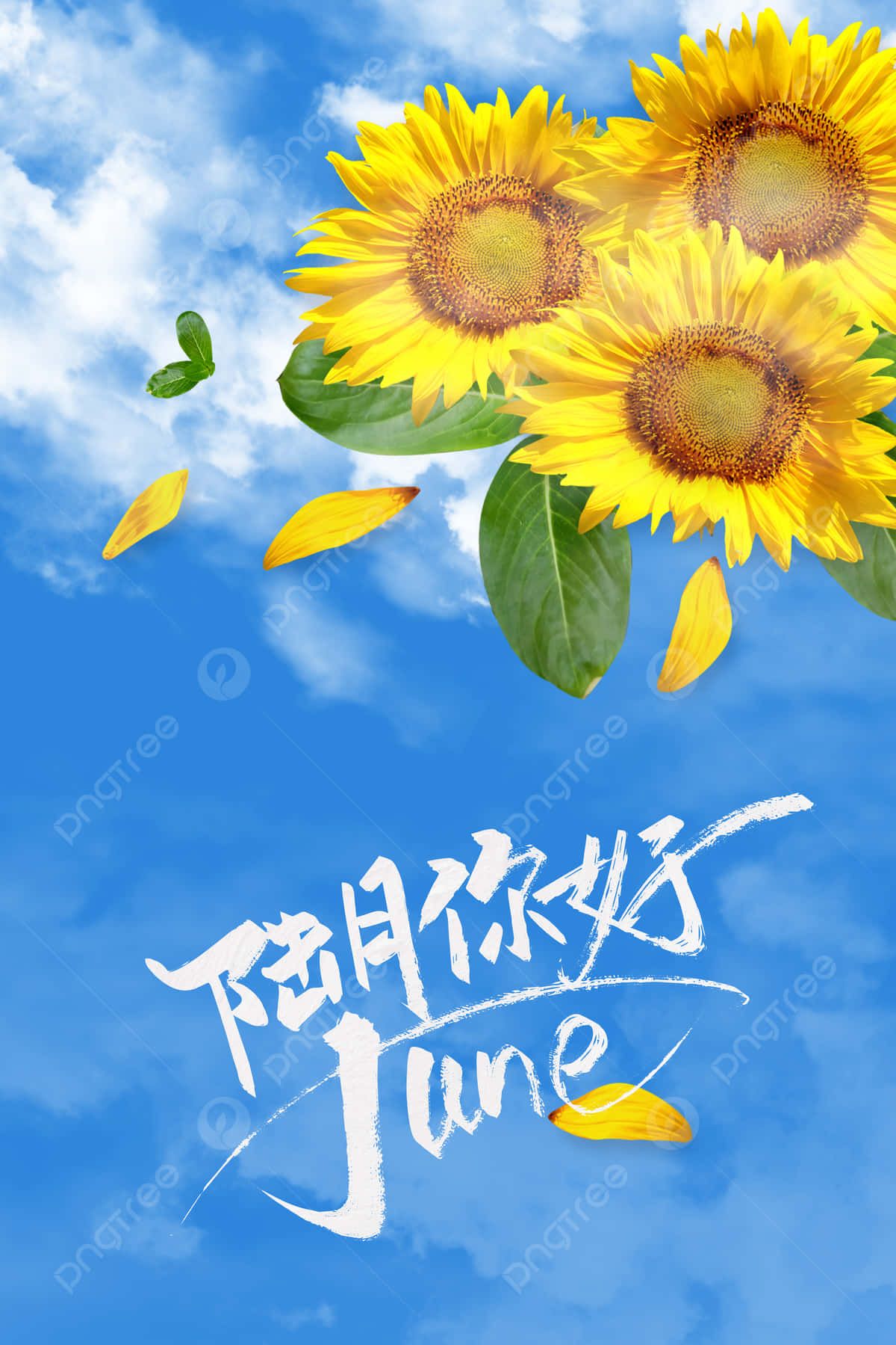 1200x1799 Download Celebrate the New Month with a Fresh Start Wallpaper