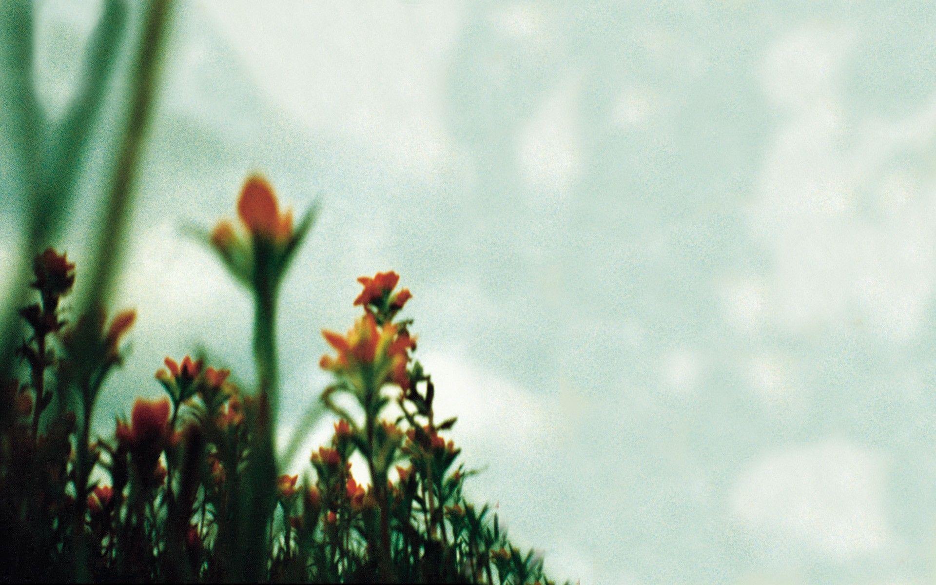 1920x1200 You guys got any cool NIN wallpaper?