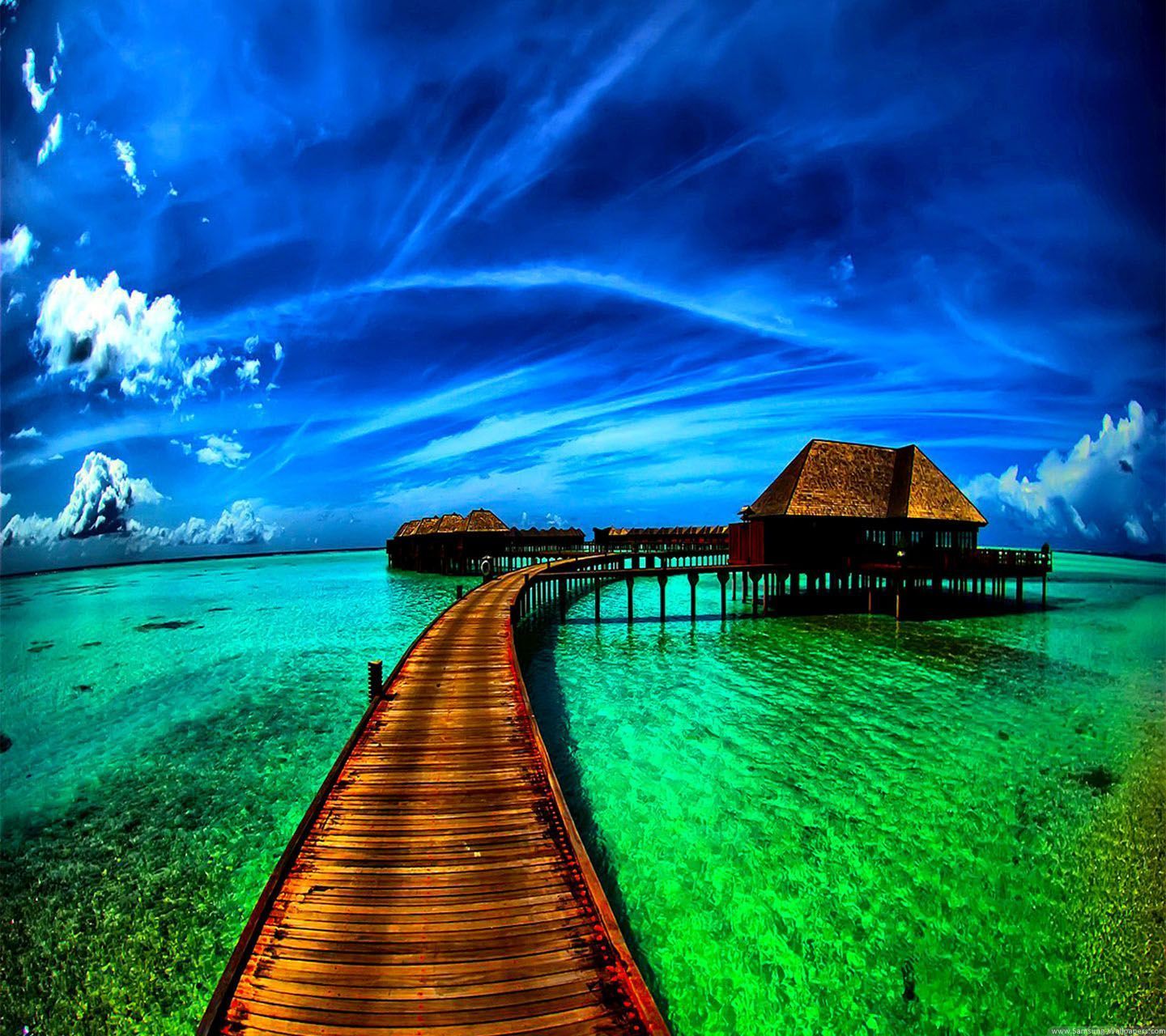 1440x1280 Beautiful Screen Wallpaper