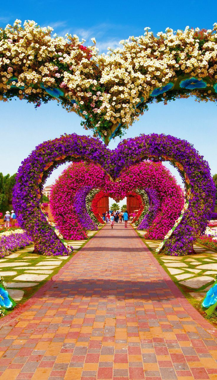 Miracle Garden Wallpapers - Top Free Miracle Garden Backgrounds ...