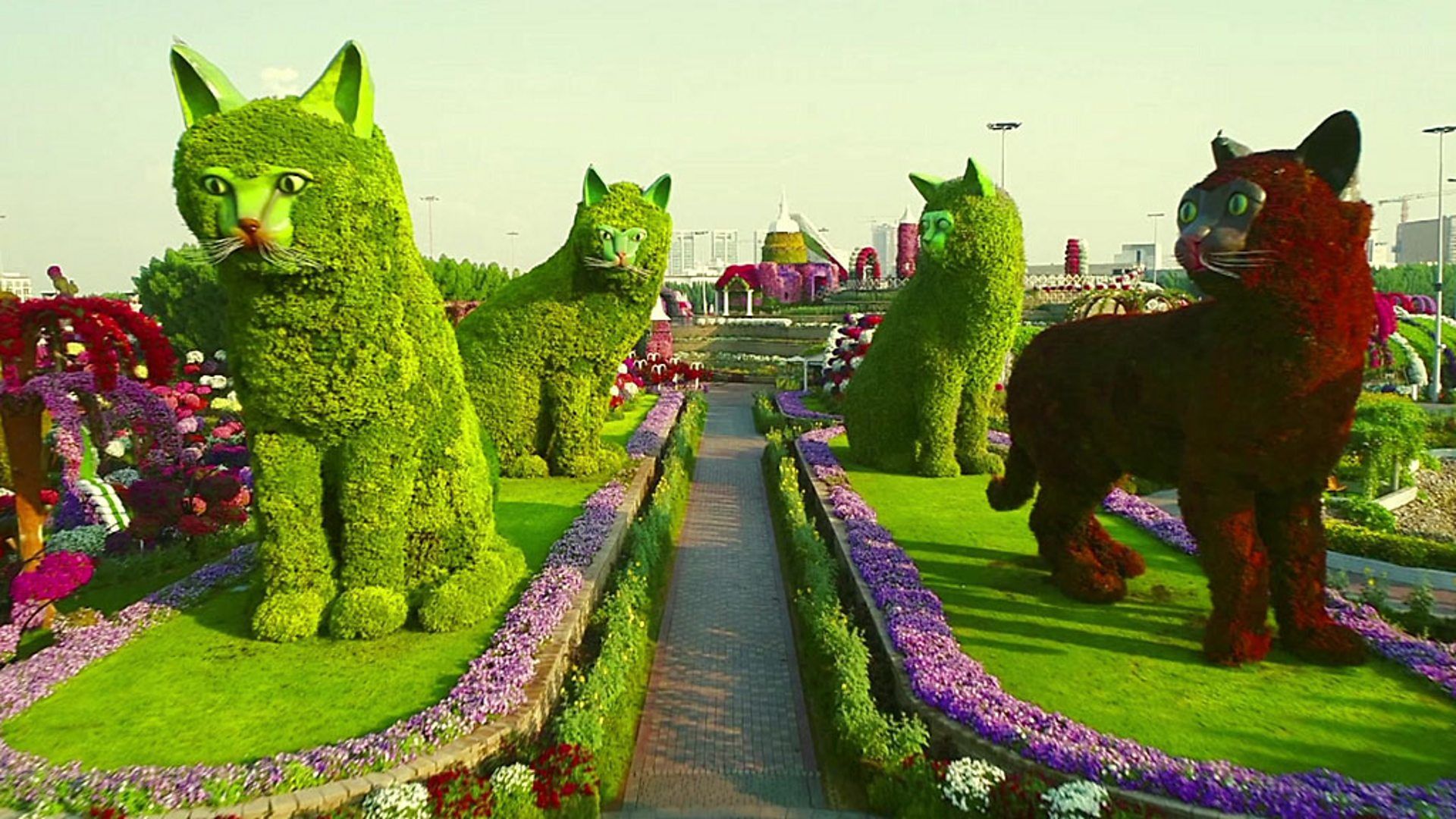 1920x1080 Chelsea Flower Show on steroids