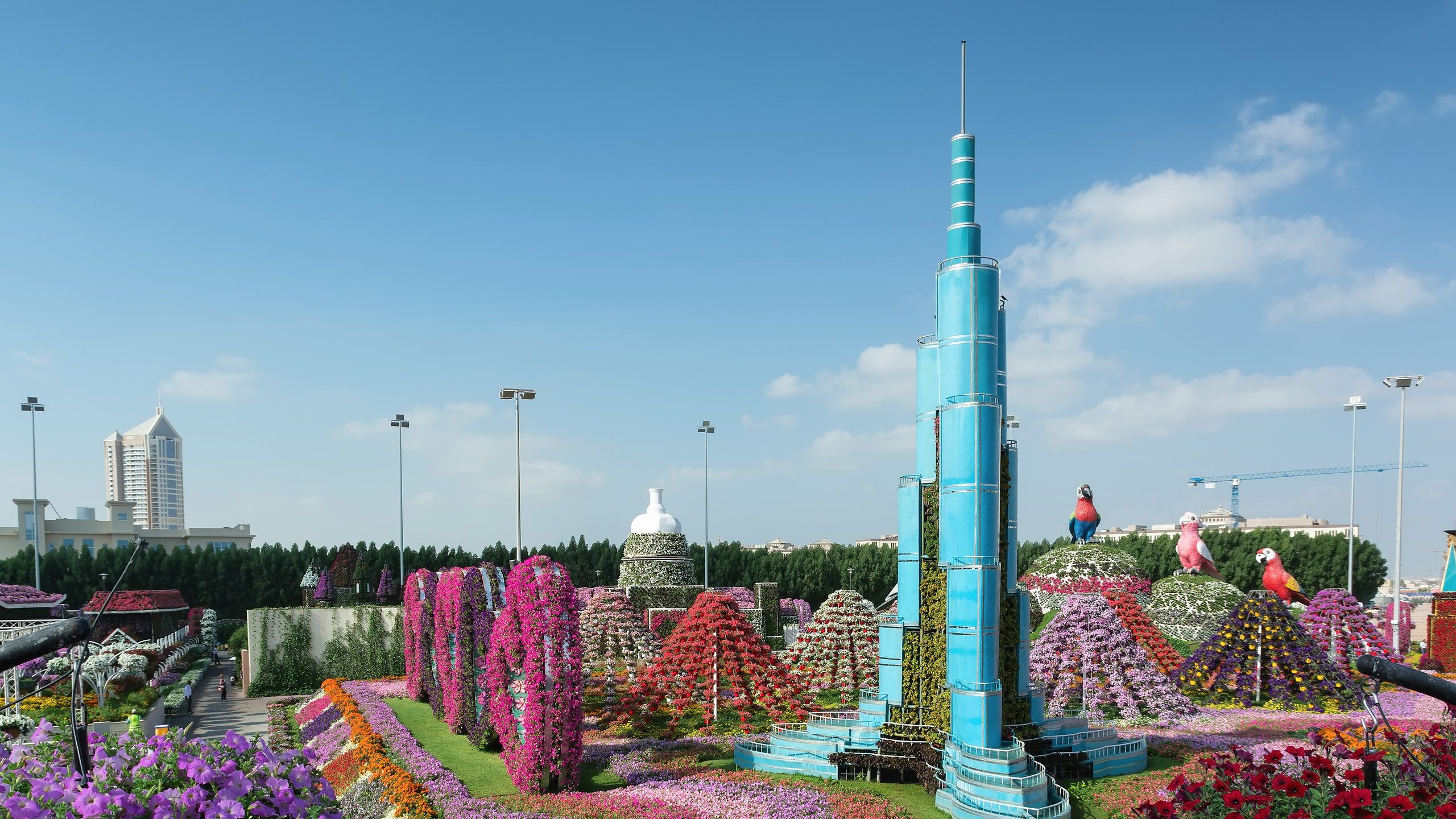 2560x1440 Dubai Miracle Garden, Dubai, UAE