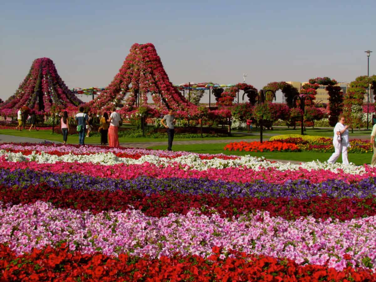 1200x900 Miracle Gardens Dubai