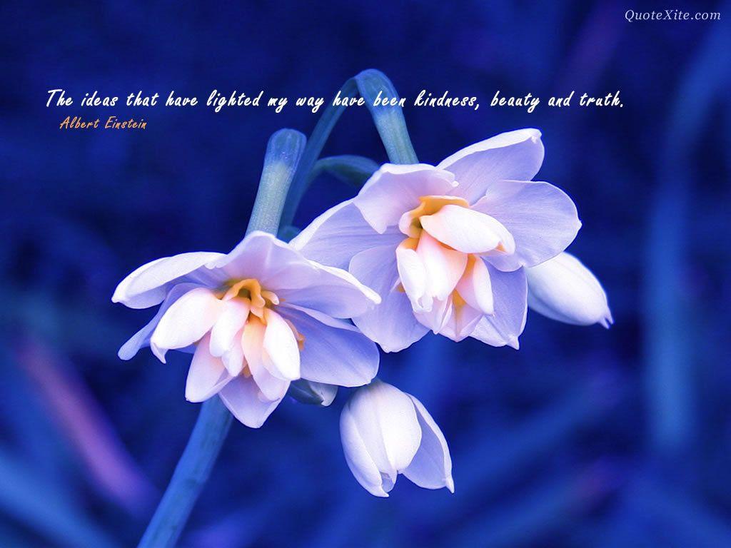 1024x768 Beautiful Inspirational Wallpaper