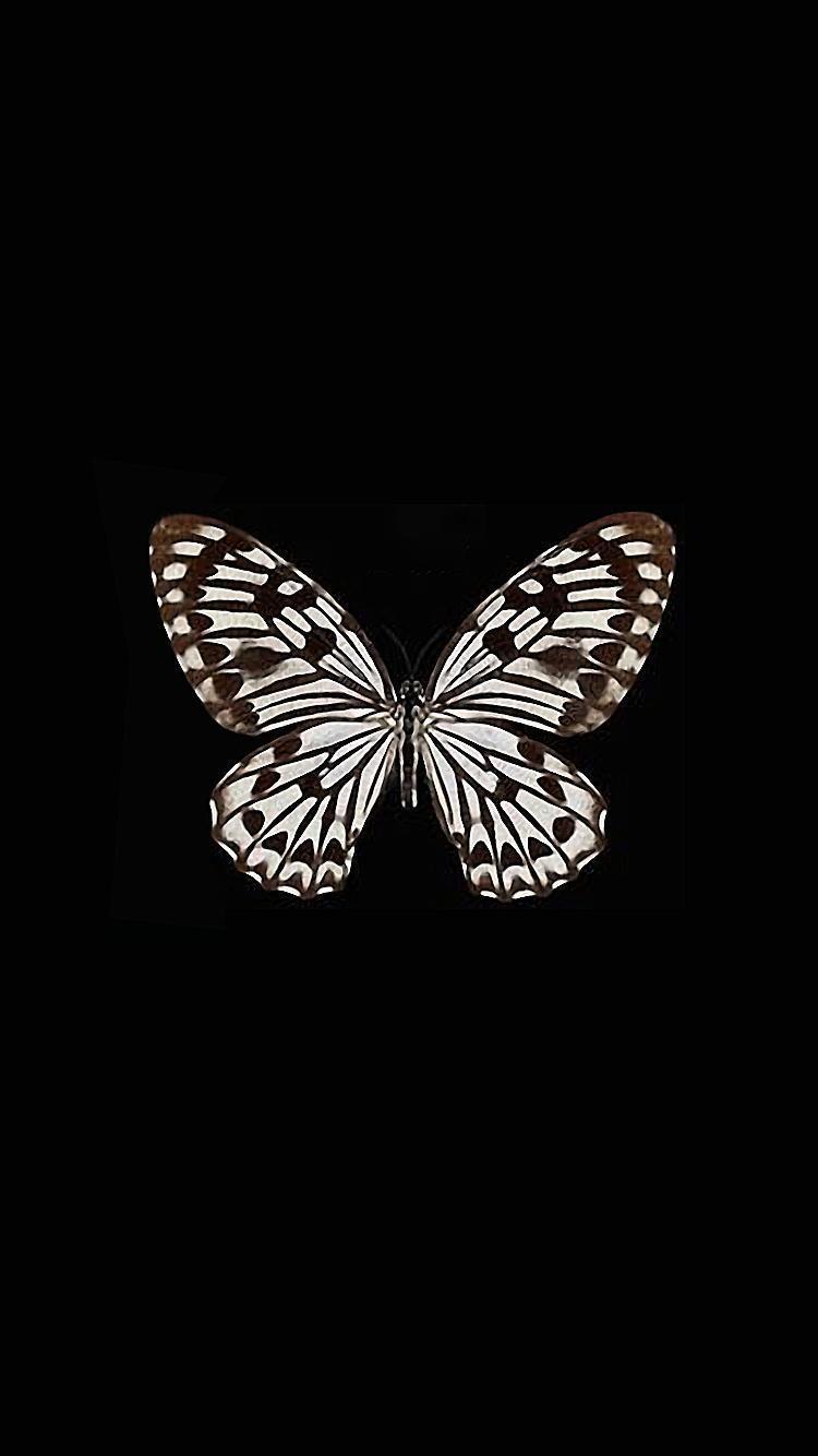 750x1334 Hình nền con bướm cho iPhone 7.  Butt Err Fff Nói dối.  IPhone 7