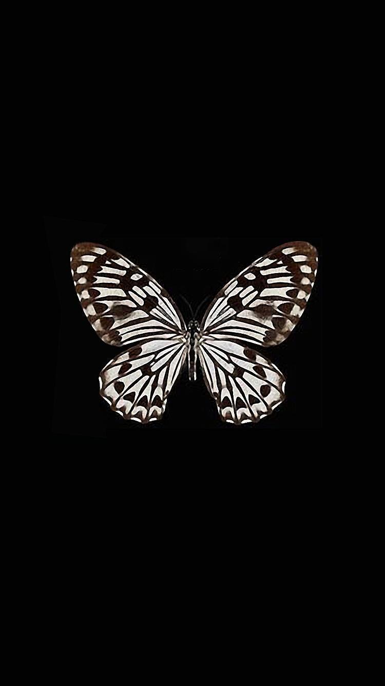 35 Gambar Wallpaper for Iphone Butterfly terbaru 2020