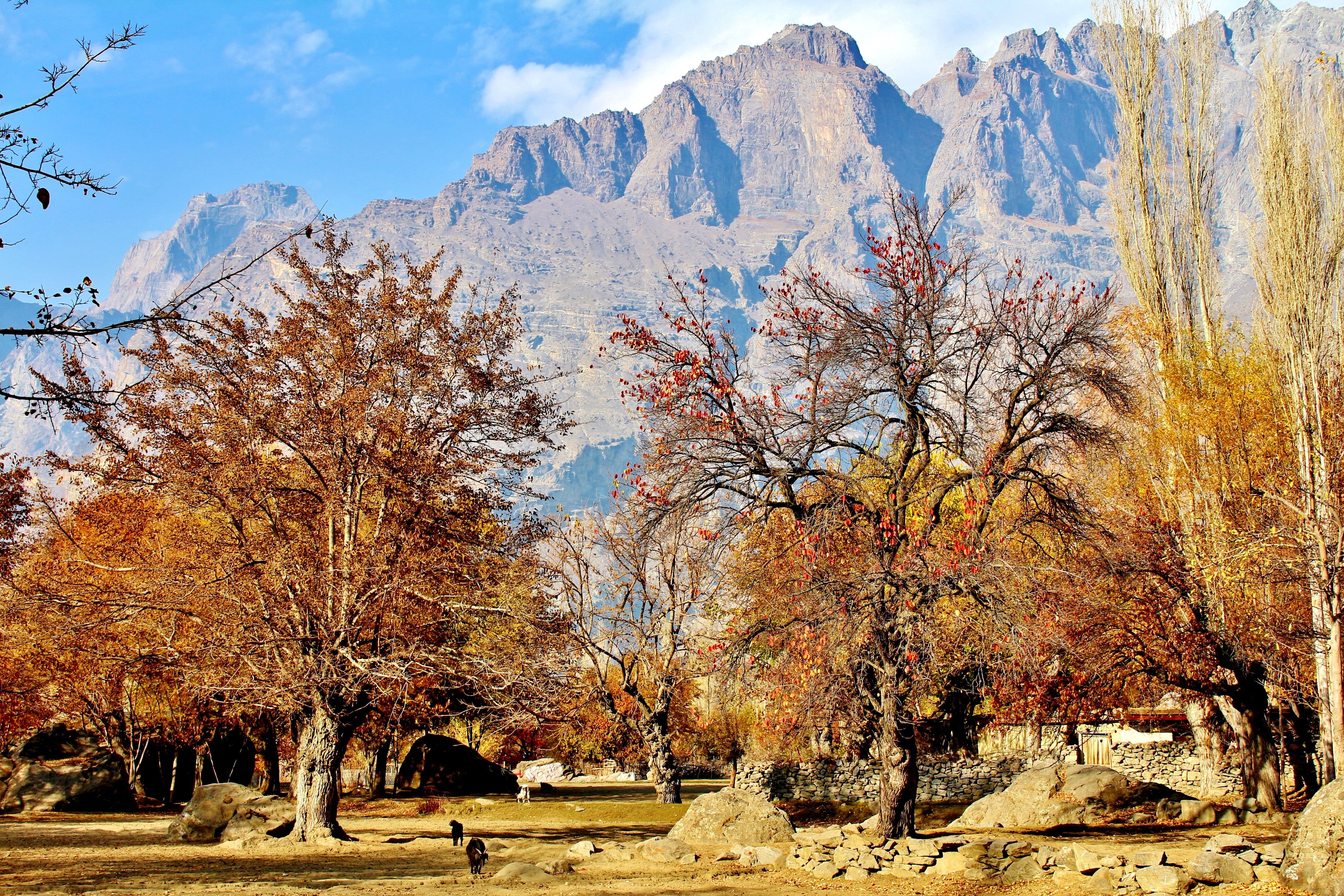 5184x3456 Wallpaper / Nature, Outdoors, Pakistan, Hike, Mountain Range, Plant, Skardu, Sunlight, Hiking, Air, Tree, Tranquility, Beauty In Nature, Scenics, Blue, Non Urban Scene Free Download
