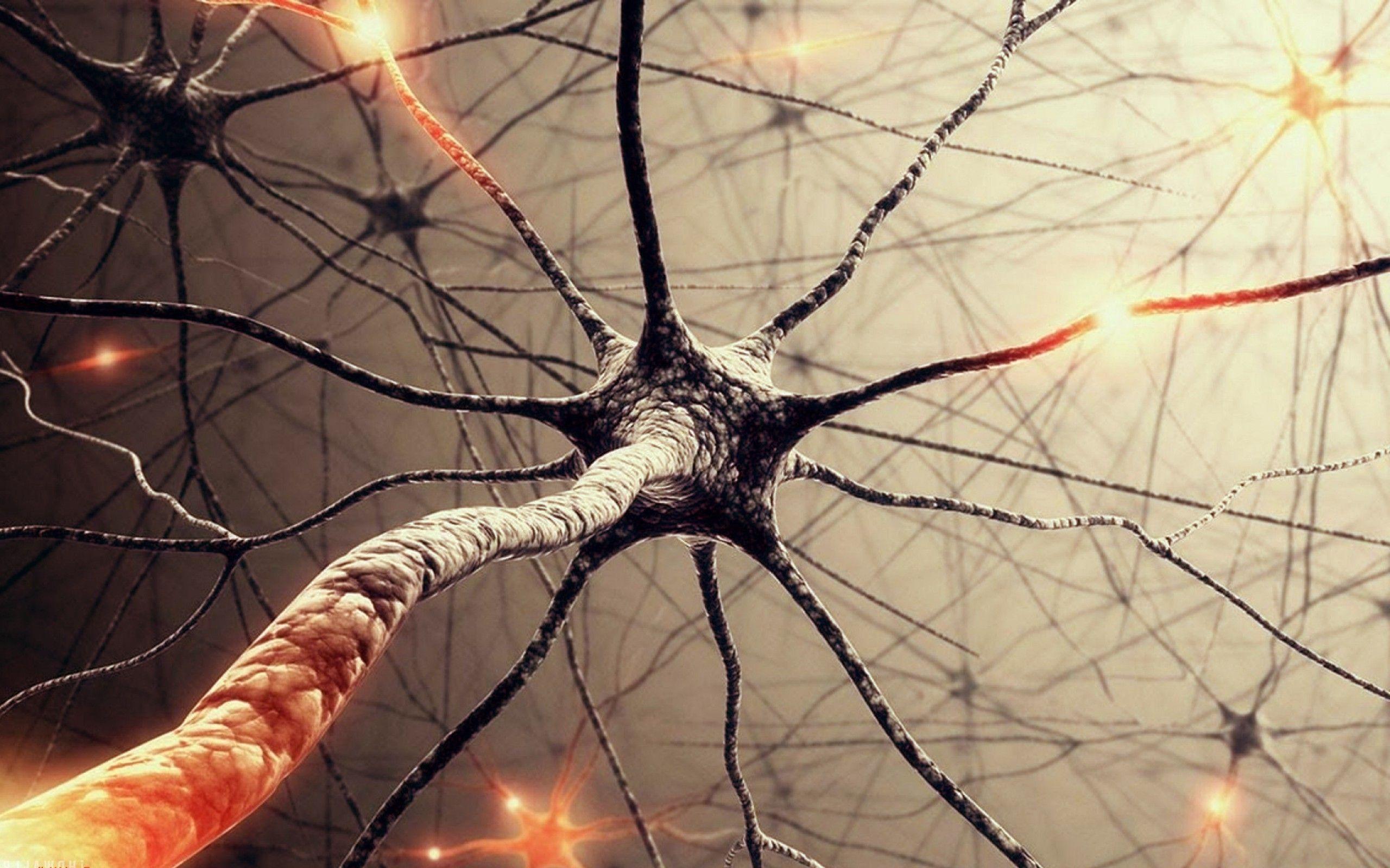 2560x1600 p. Neuron Widescreen Wallpaper