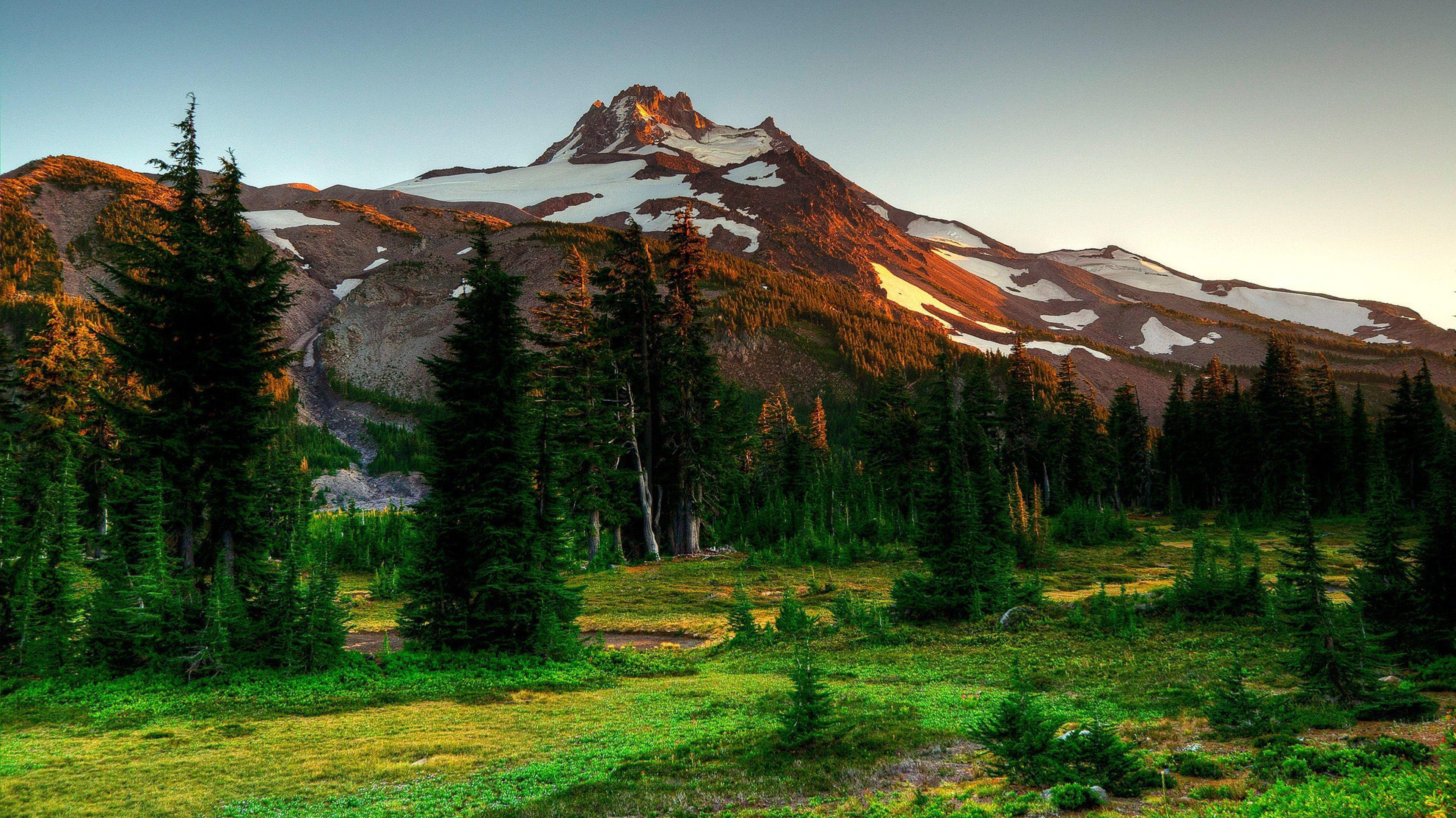 Bing Nature Wallpapers Top Free Bing Nature Backgrounds WallpaperAccess Bing Nature Wallpapers Top Free Bing Nature Backgrounds WallpaperAccess