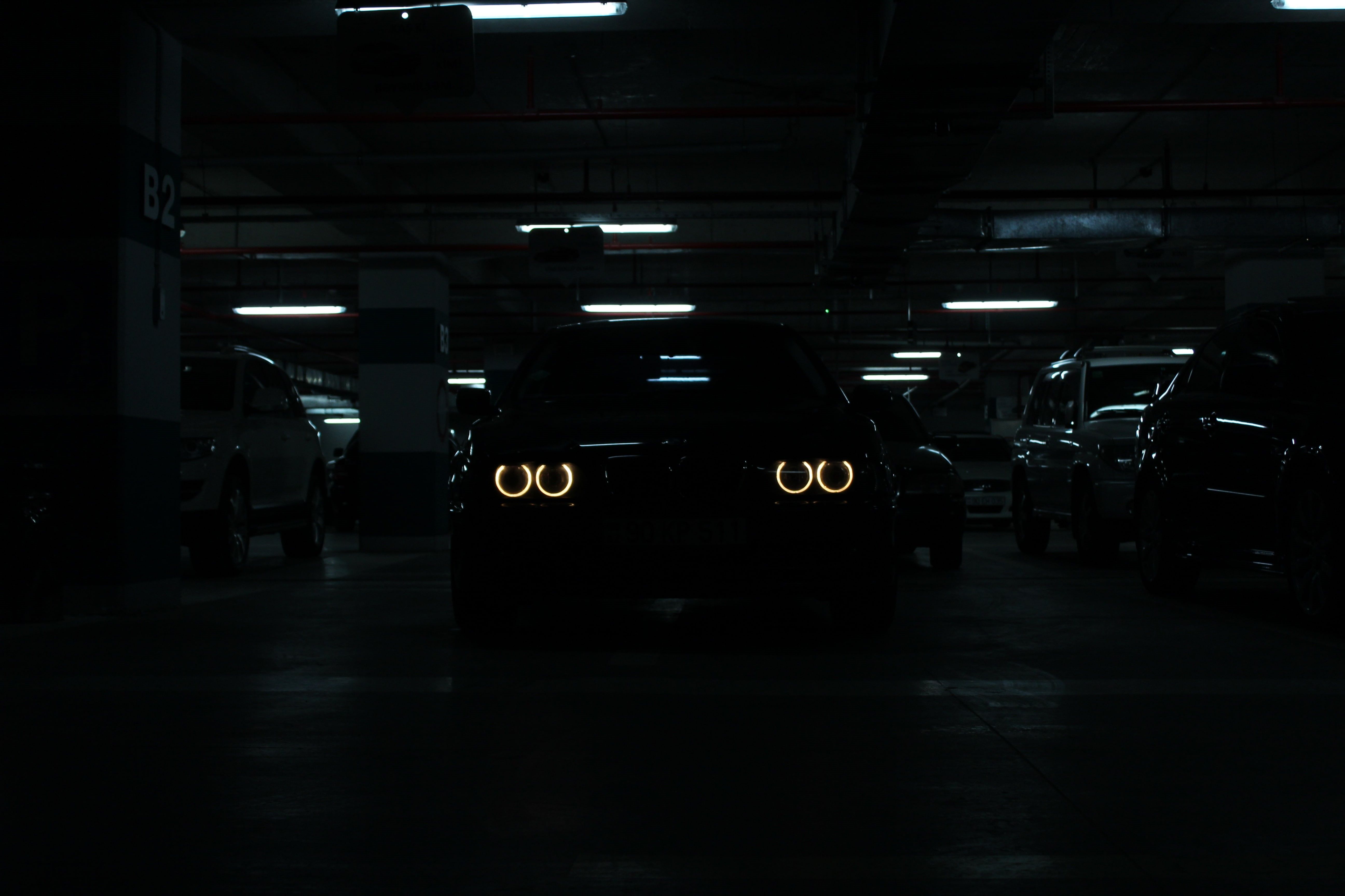 5184x3456 Angel Eyes 1080P, 2k, 4k Full HD Wallpaper, Background Free Download
