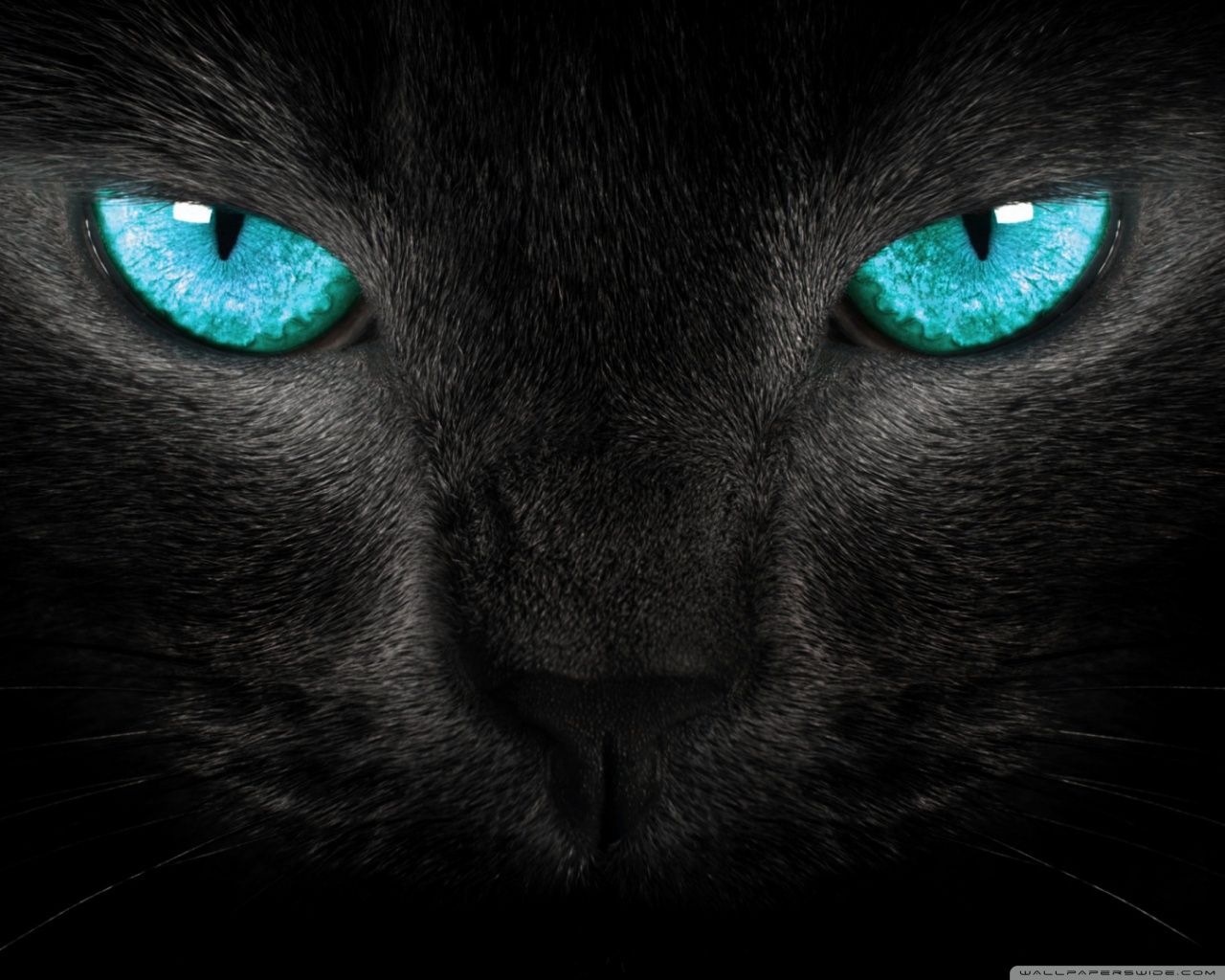 Tech House Wallpapers Top Free Tech House Backgrounds WallpaperAccess