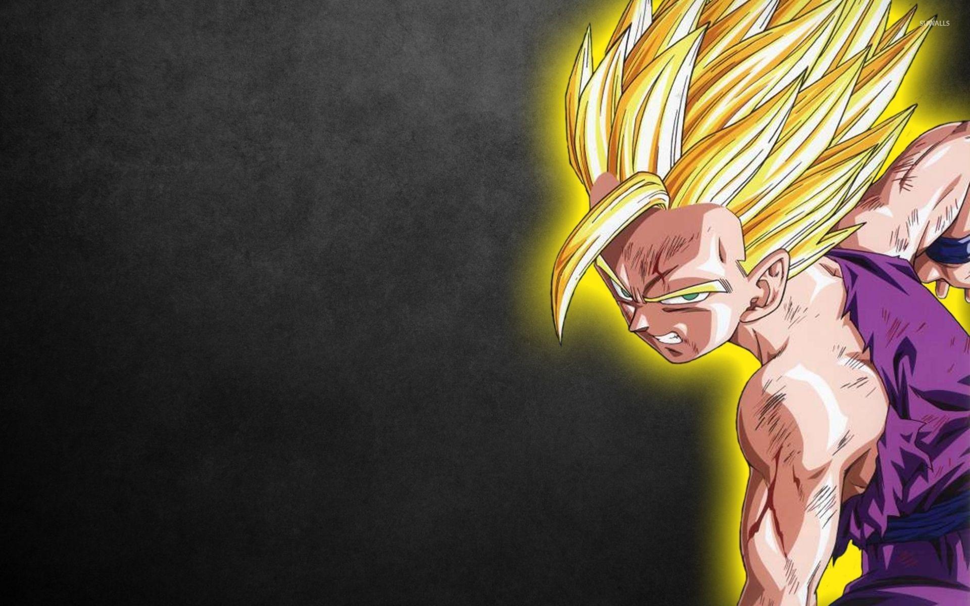 1920x1200 Goku - Bảy viên ngọc rồng Z [2] hình nền - Hình nền anime