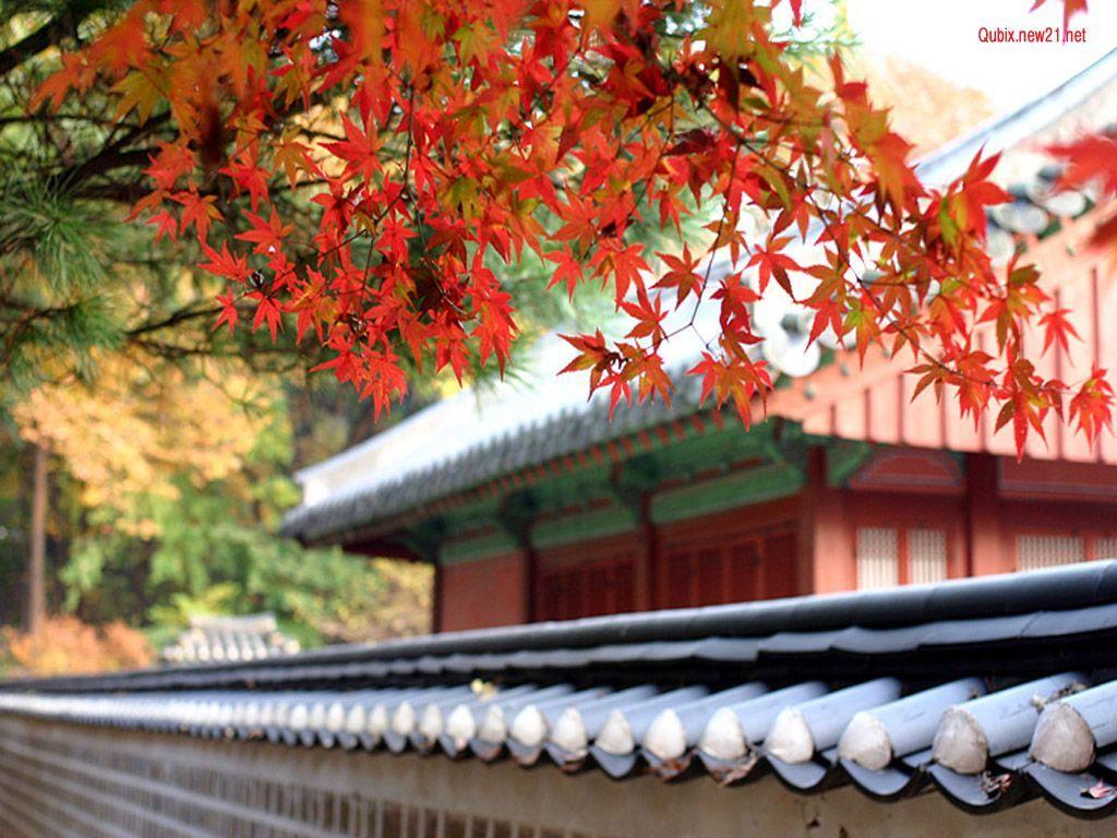 1024x768 Photo. Japan, Wallpaper, HD desktop