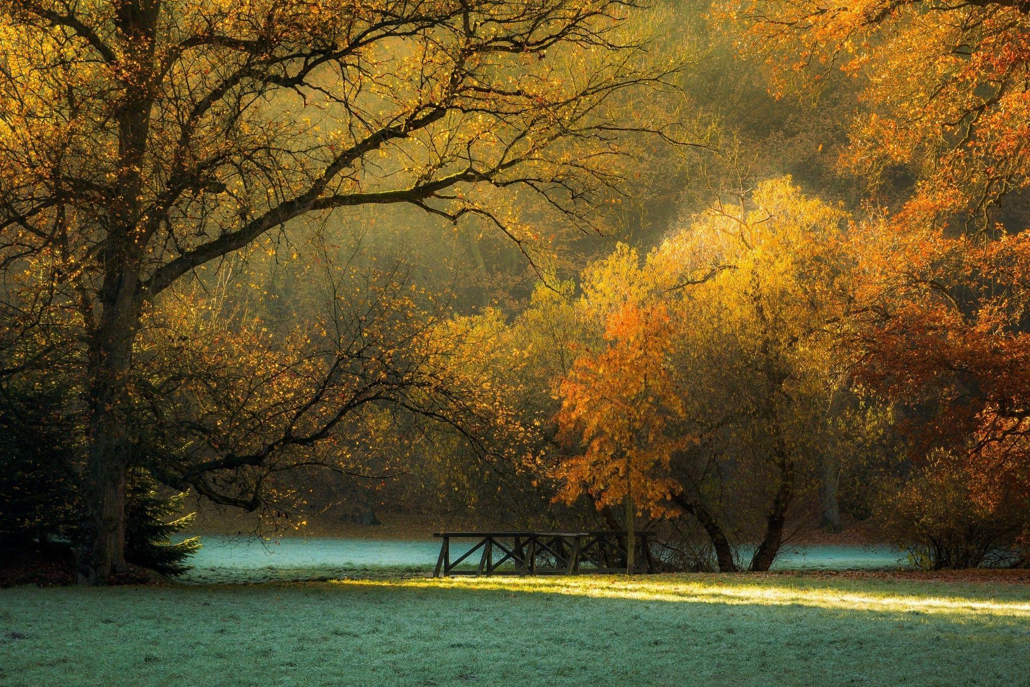 2048x1366 landscape nature trees triangle plants czech republic wallpaper