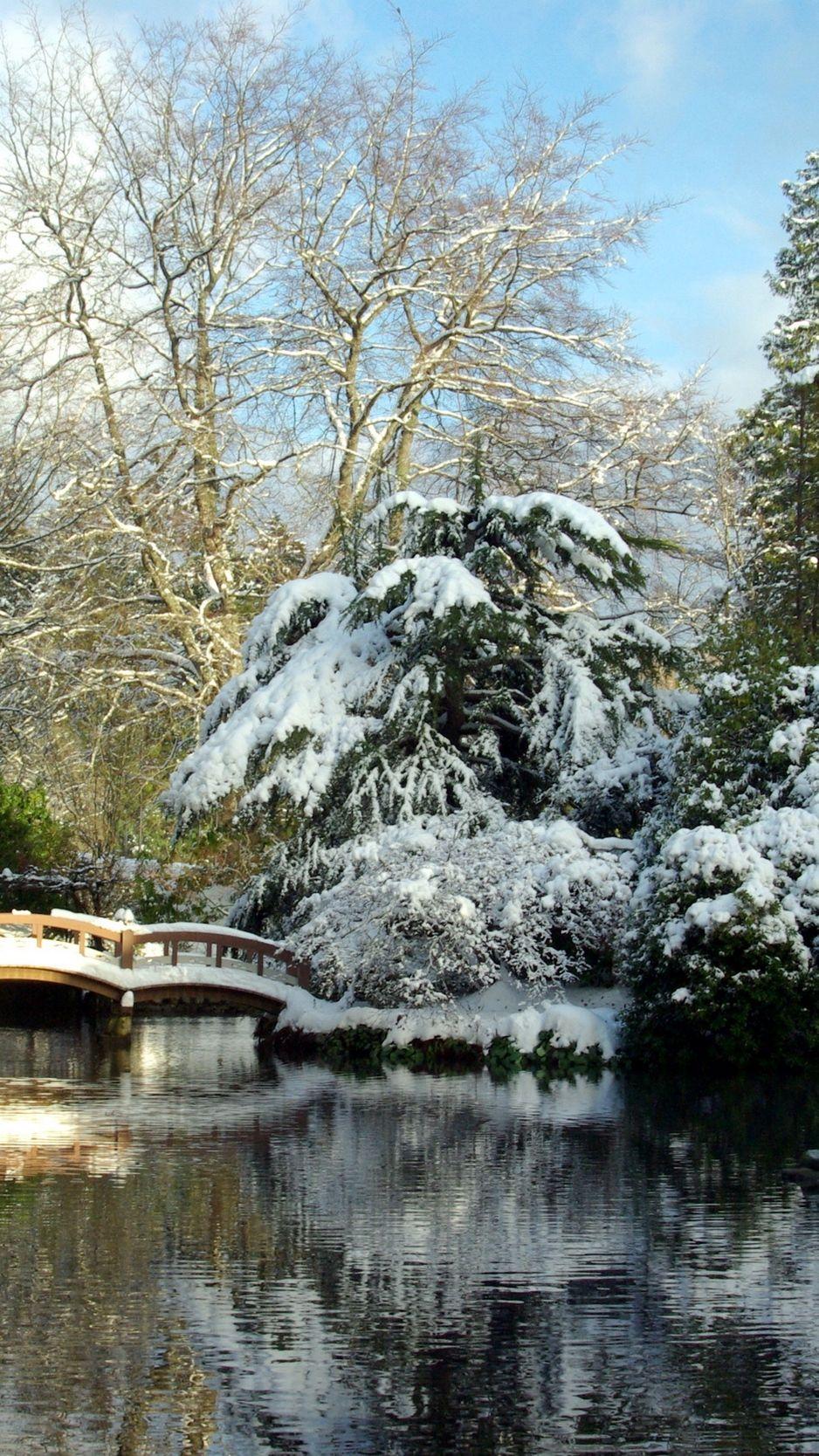 938x1668 Download wallpaper 938x1668 hatley park, japan, garden, landscape